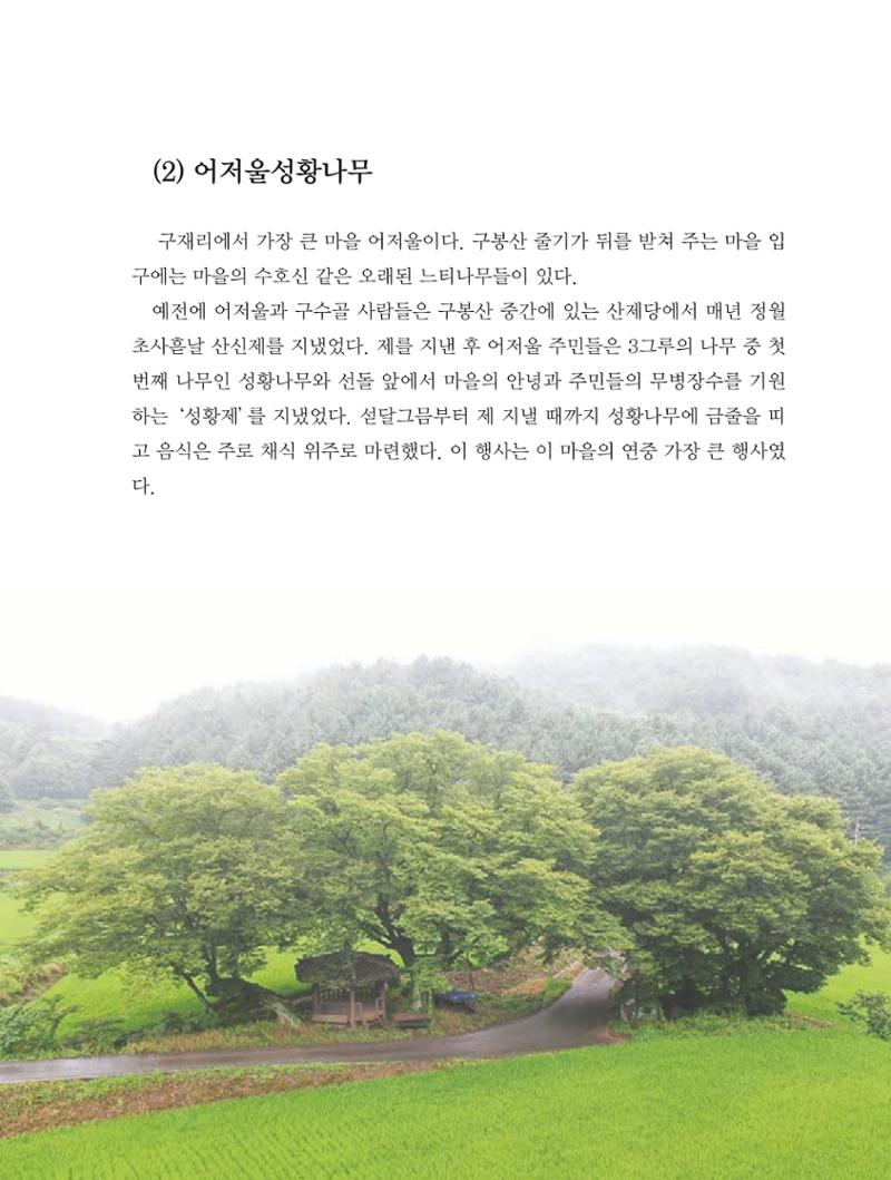 청양군 마을의 재발견1 245페이지