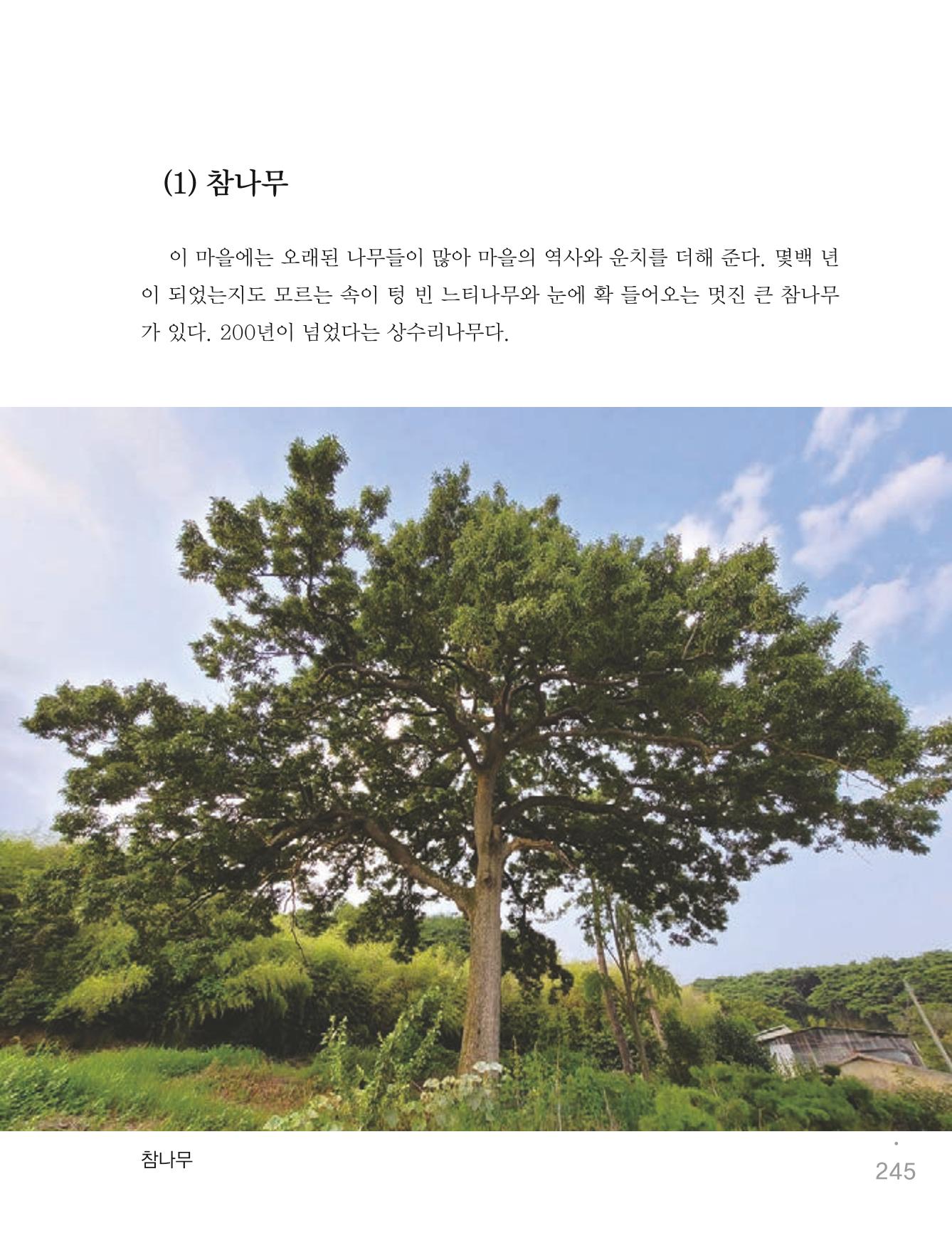 청양군 마을의 재발견1 247페이지