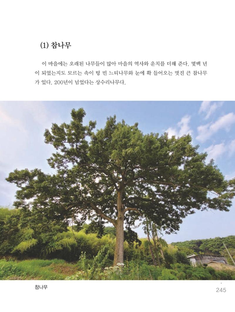 청양군 마을의 재발견1 247페이지