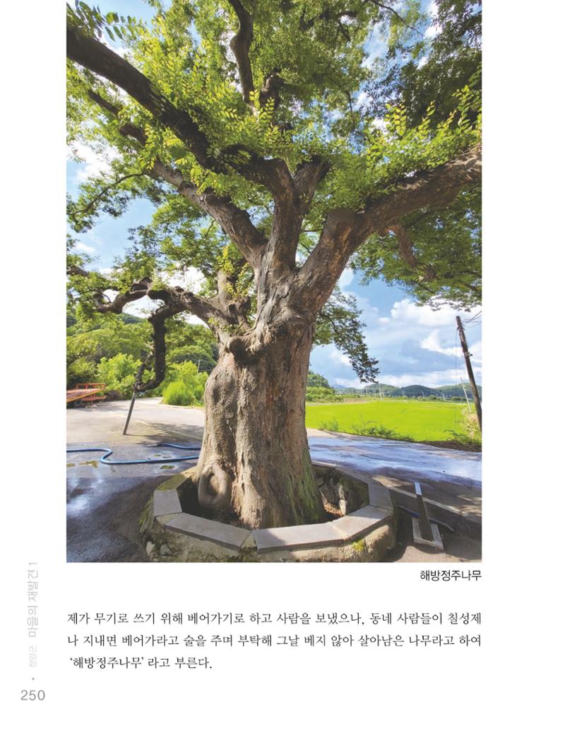 청양군 마을의 재발견1 252페이지