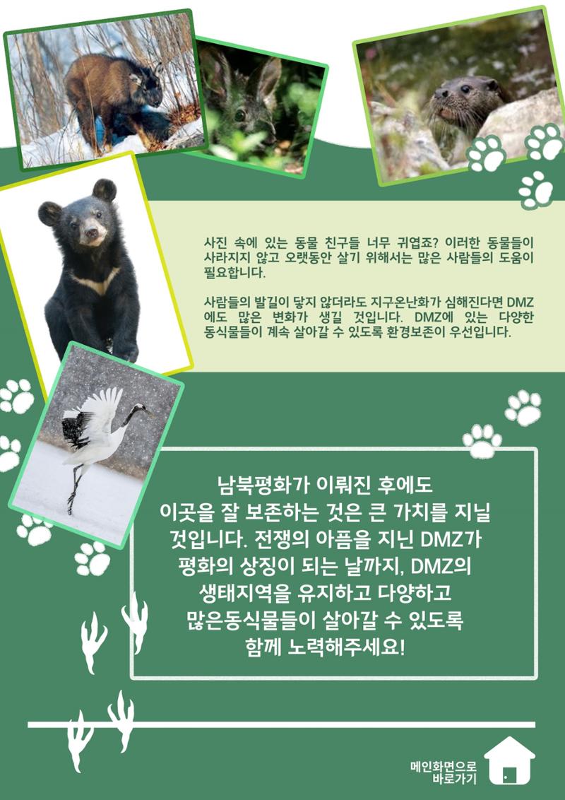 MAGAZINE DPAF 1호 [LIFE & DMZ] 10페이지
