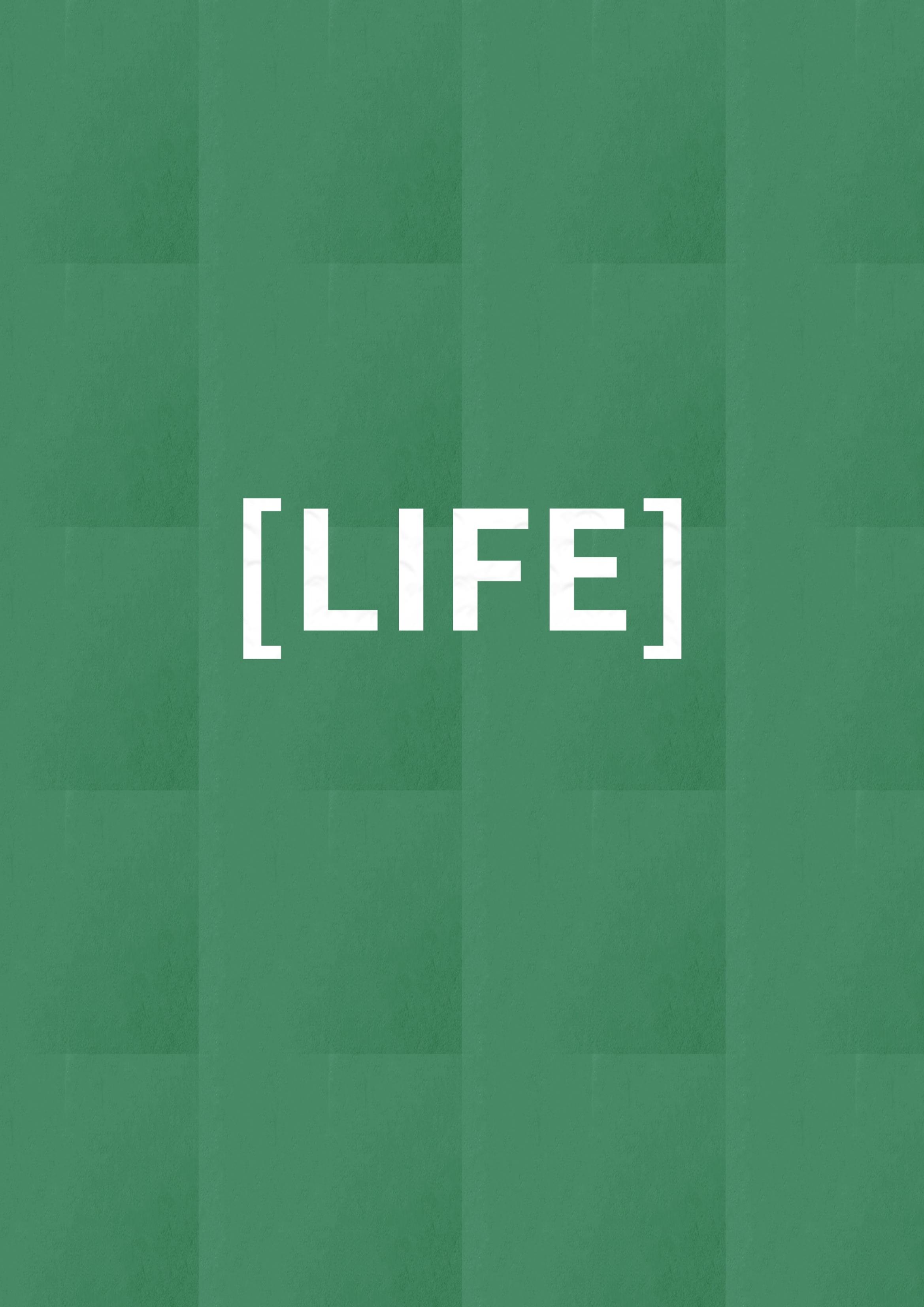 MAGAZINE DPAF 1호 [LIFE & DMZ] 13페이지