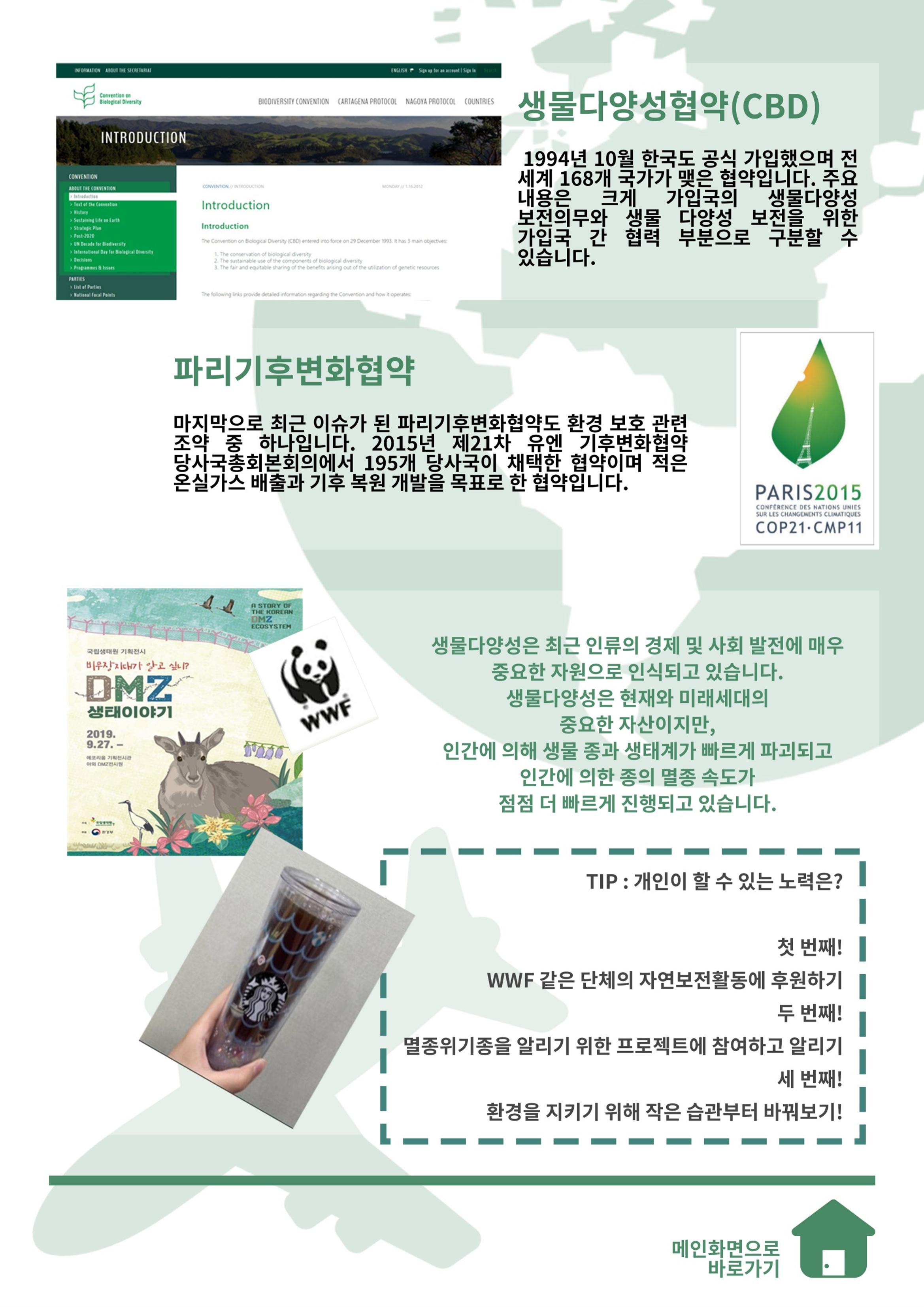 MAGAZINE DPAF 1호 [LIFE & DMZ] 33페이지