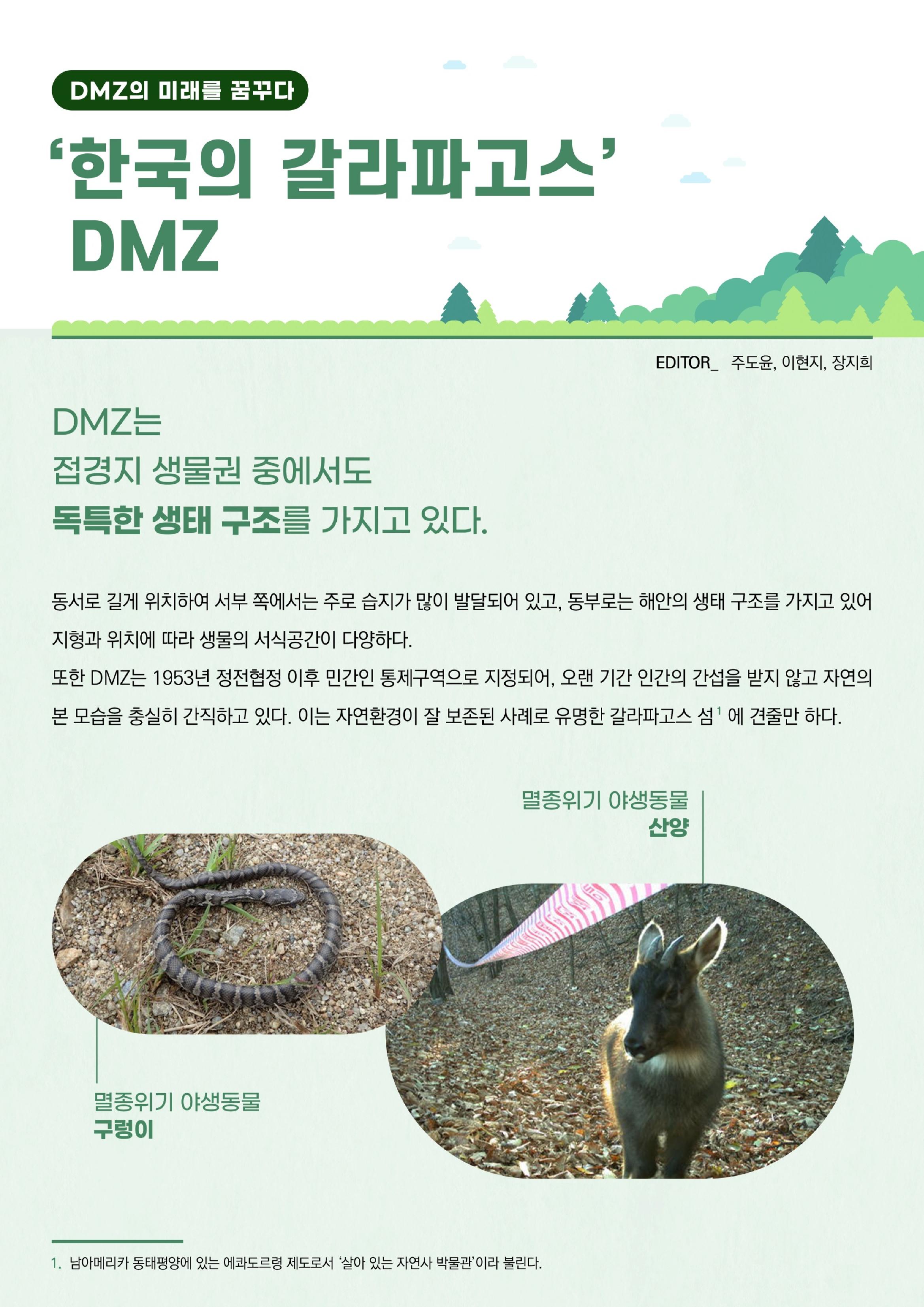 MAGAZINE DPAF 1호 [LIFE & DMZ] 7페이지