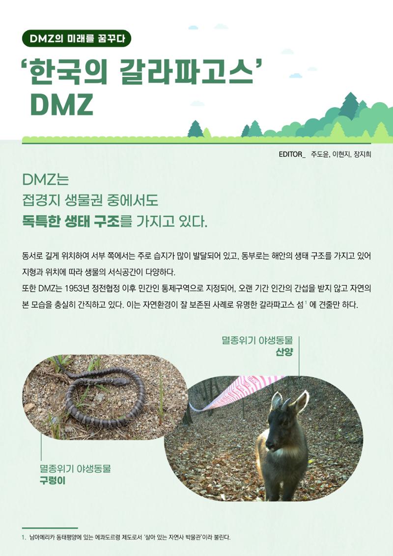 MAGAZINE DPAF 1호 [LIFE & DMZ] 7페이지