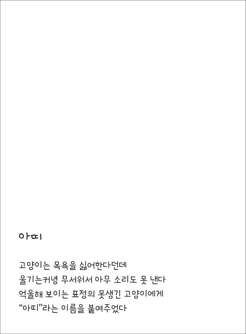 못생긴 고양이 아띠_동물친구 10페이지