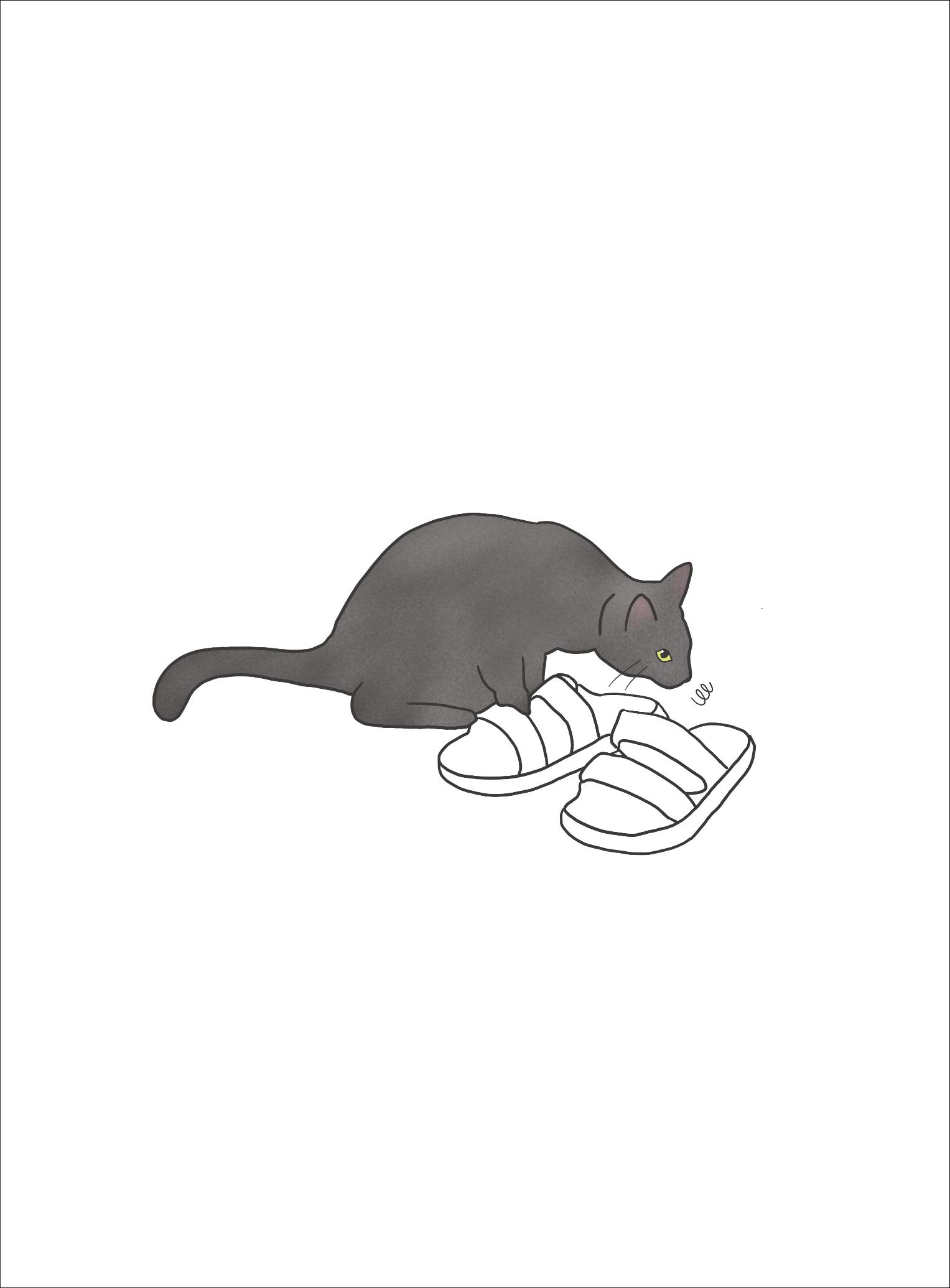 못생긴 고양이 아띠_동물친구 16페이지