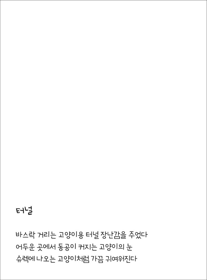 못생긴 고양이 아띠_동물친구 20페이지