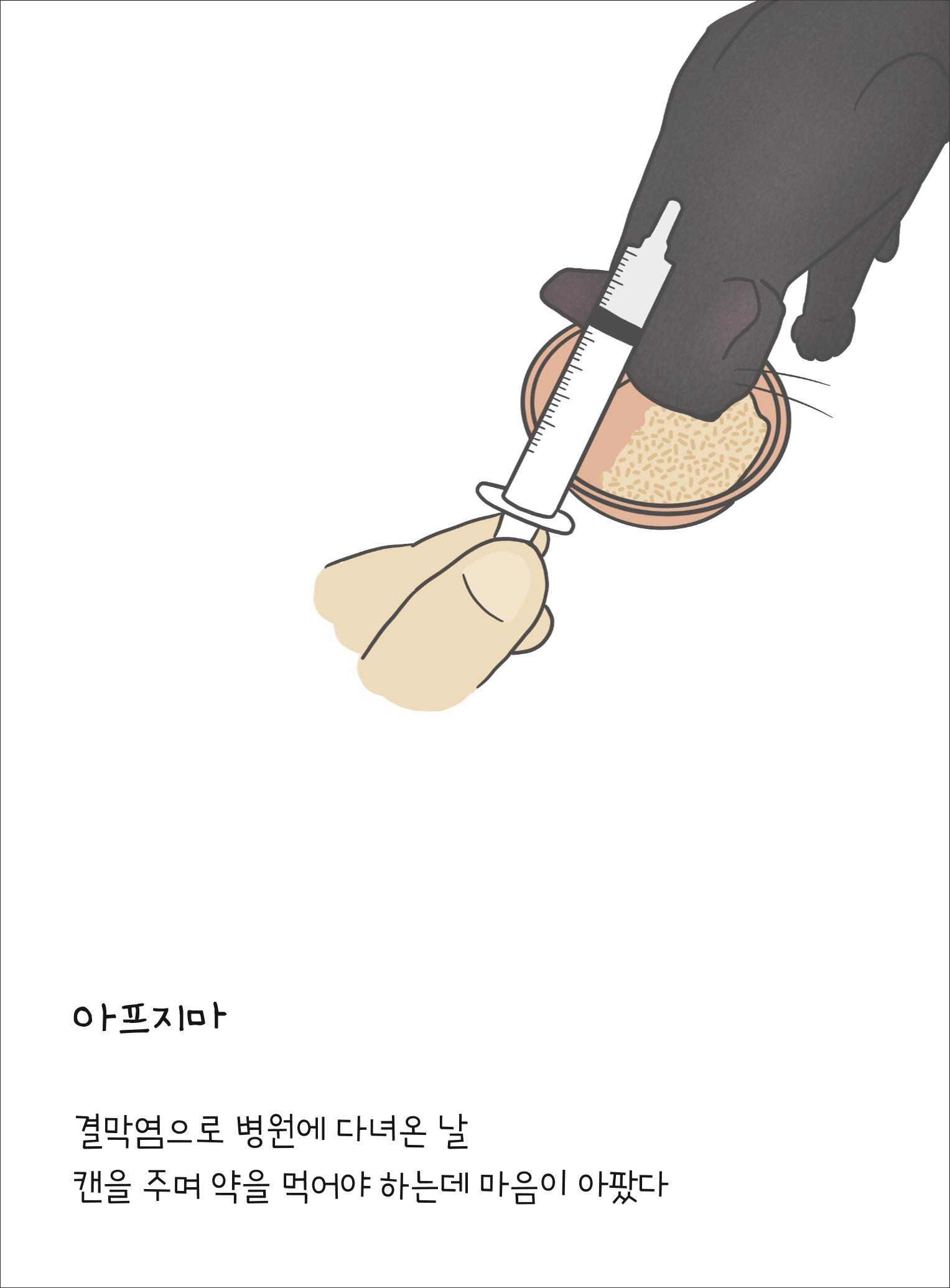 못생긴 고양이 아띠_동물친구 28페이지