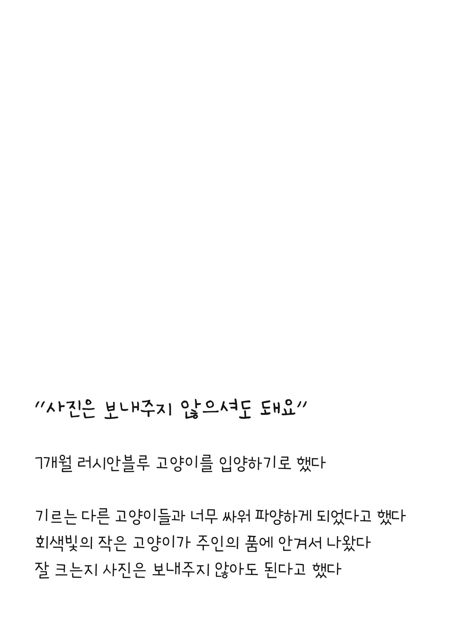 못생긴 고양이 아띠_동물친구 6페이지