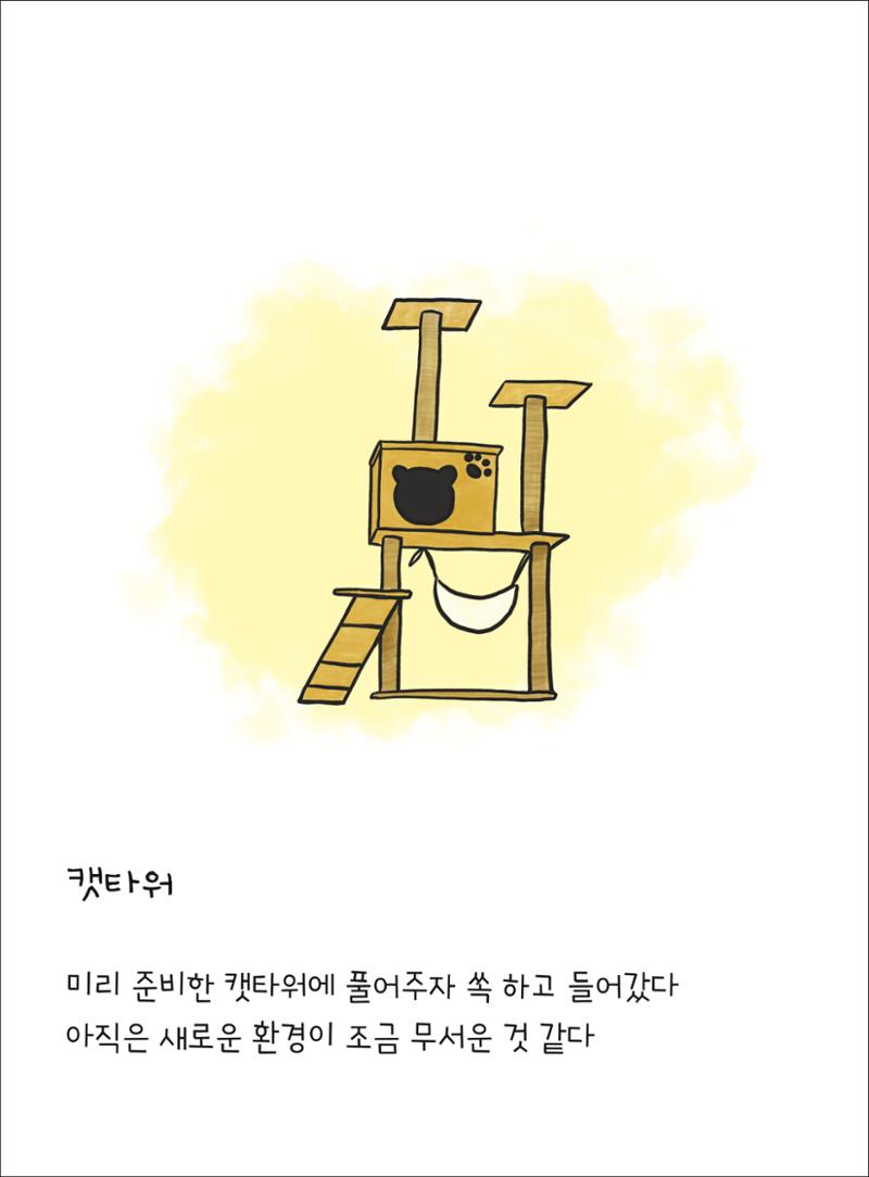 못생긴 고양이 아띠_동물친구 8페이지