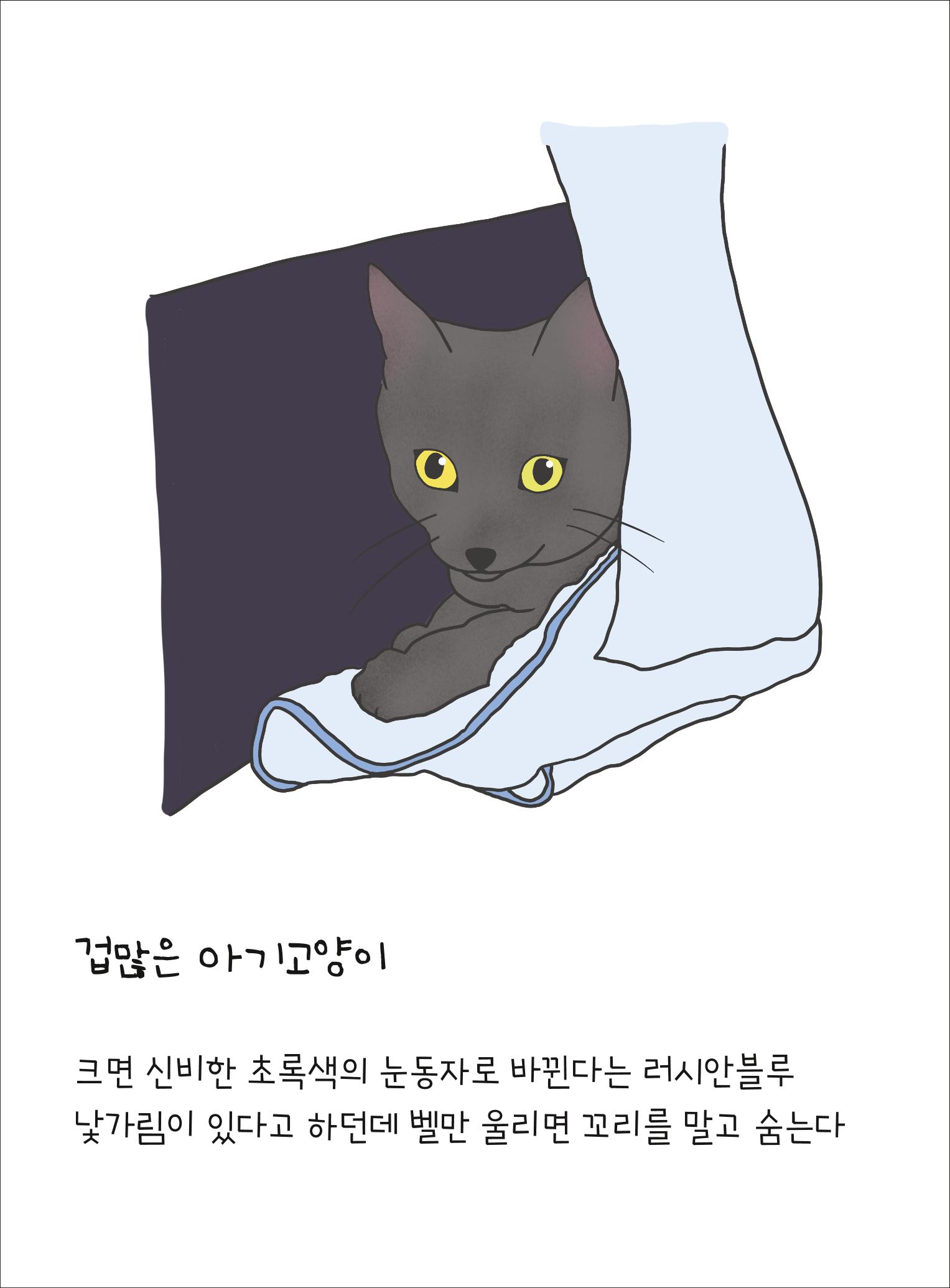못생긴 고양이 아띠_동물친구 9페이지