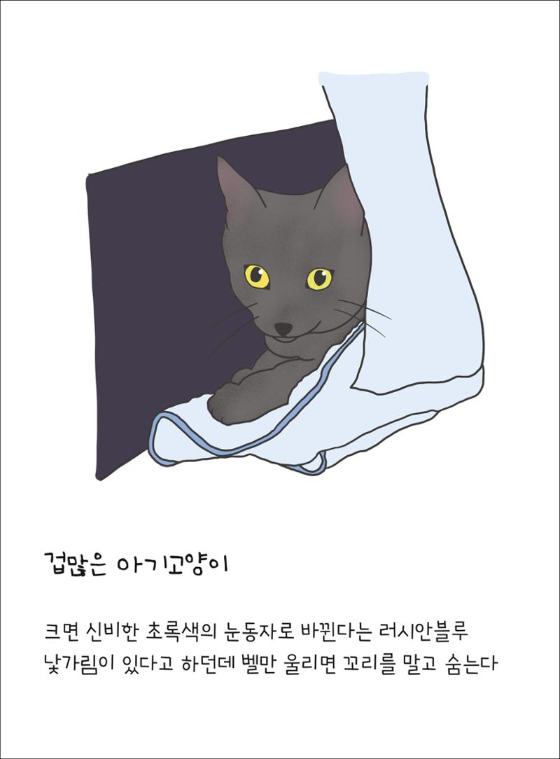 못생긴 고양이 아띠_동물친구 9페이지