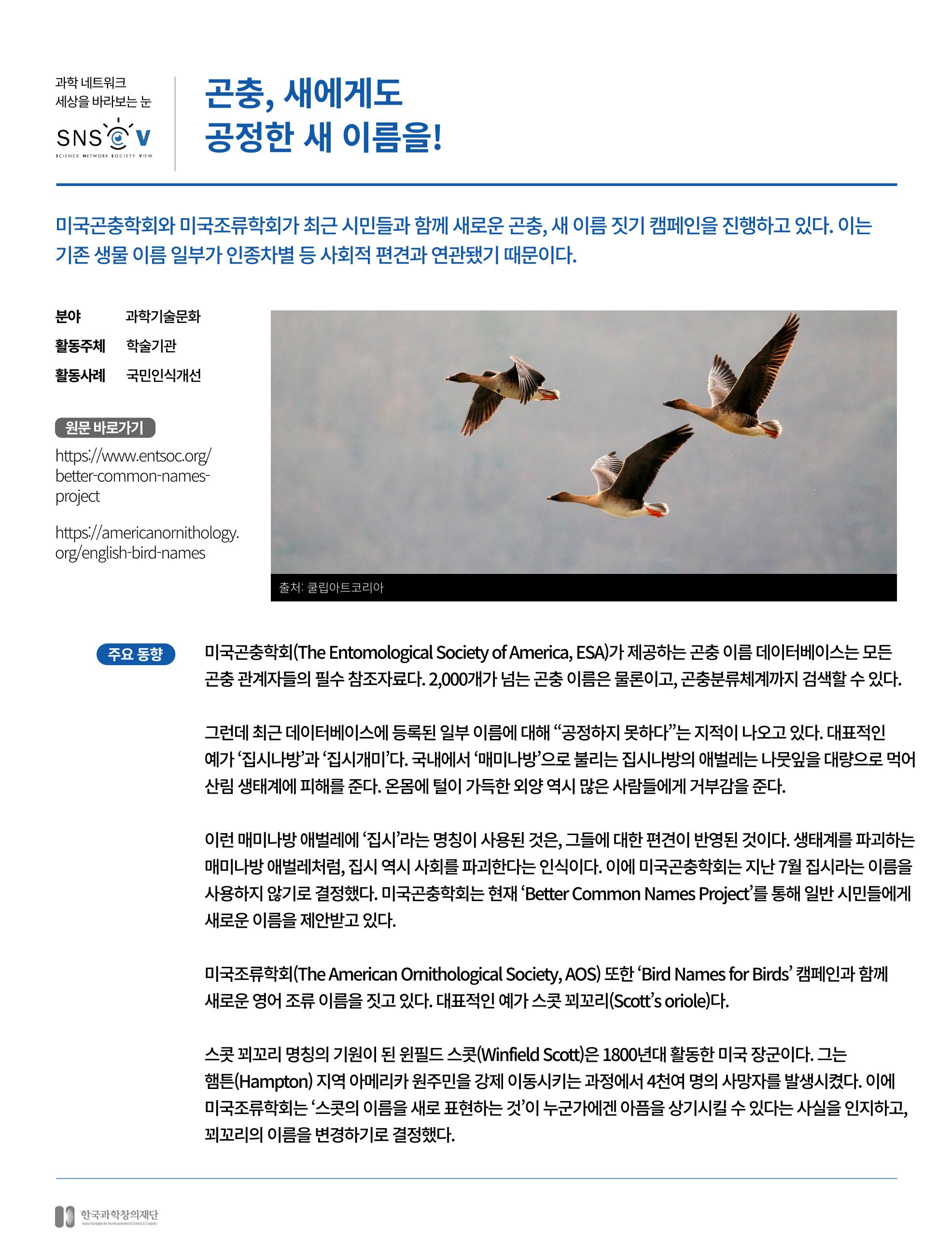 한국과학창의재단_대이벤트 11페이지