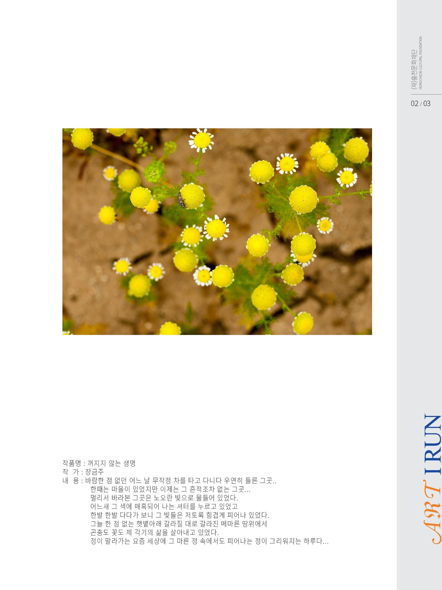 홍천문화재단 소식지 2호 3페이지