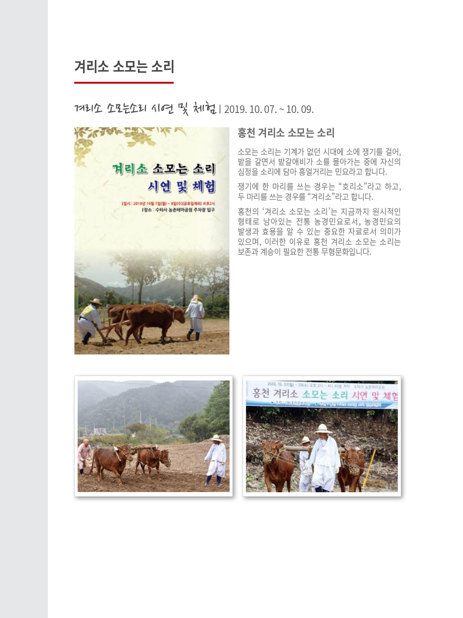 홍천문화재단 소식지 6호 8페이지