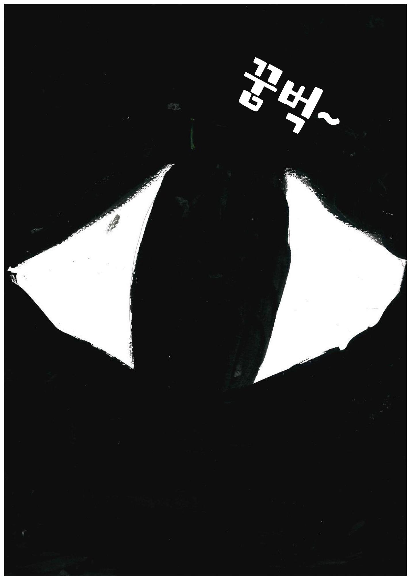 내가 환생을 27페이지