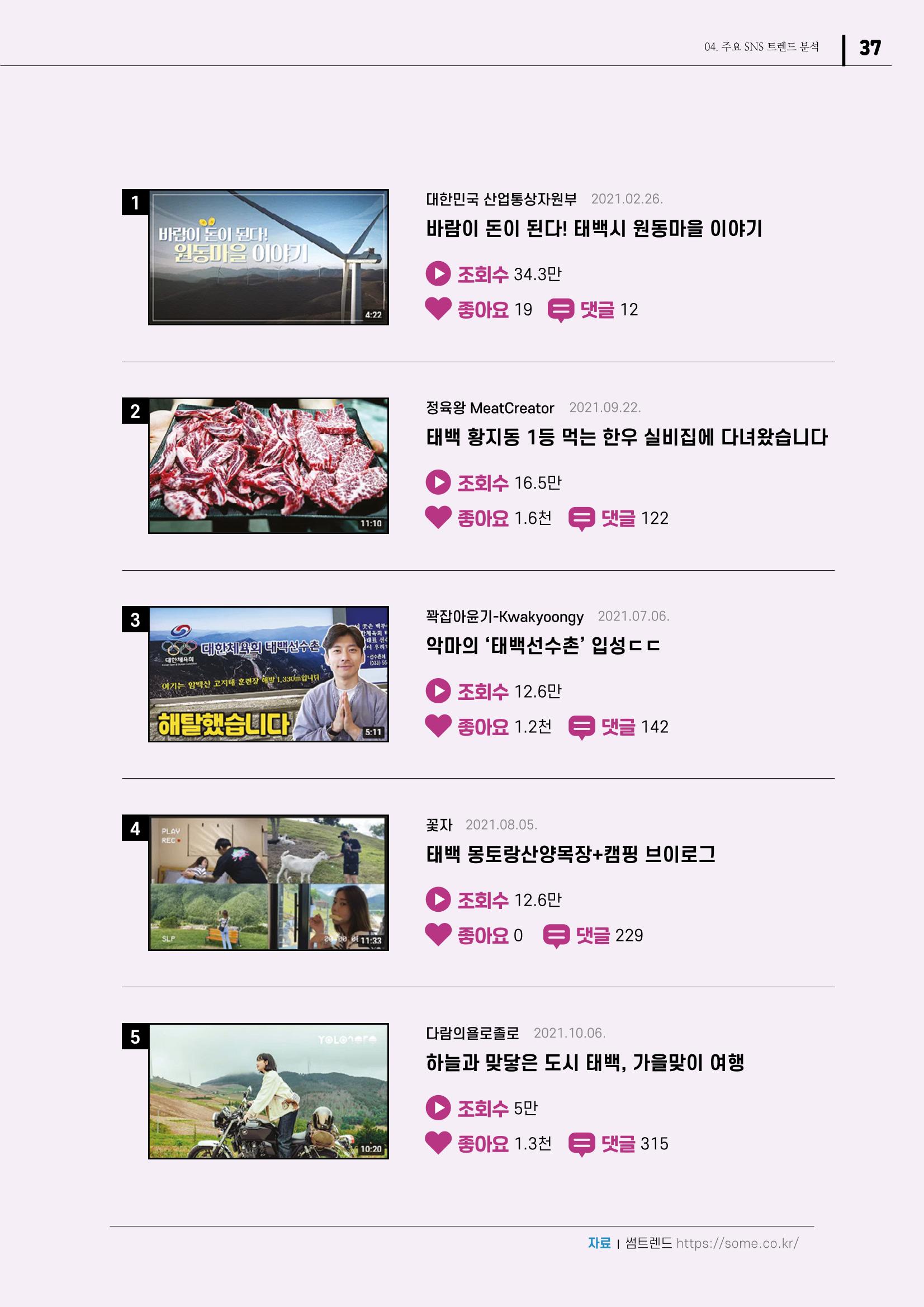 2021 탄광지역 SNS 트렌드 보고서 39페이지