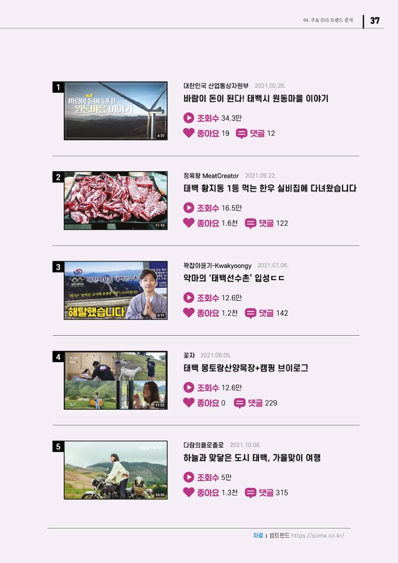 2021 탄광지역 SNS 트렌드 보고서 39페이지