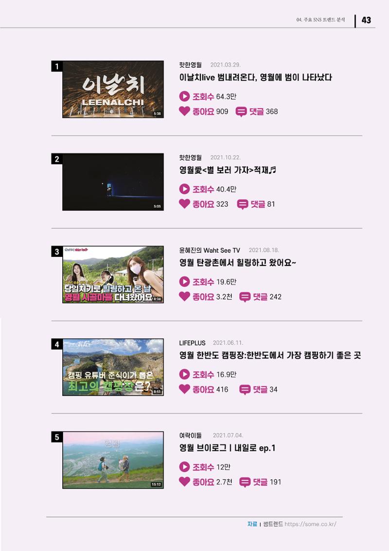 2021 탄광지역 SNS 트렌드 보고서 45페이지