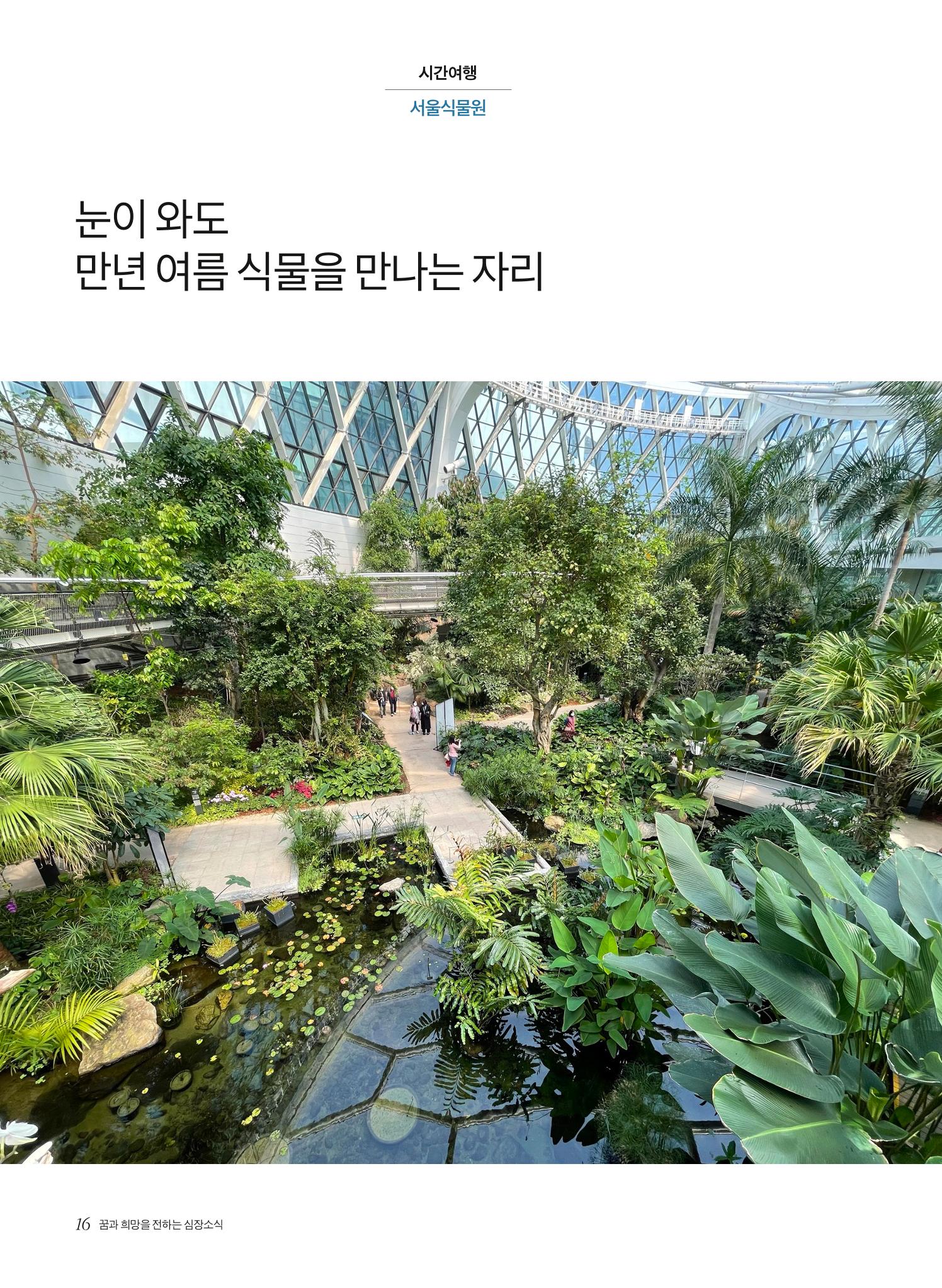 2021 심장소식 겨울호 132호 16페이지
