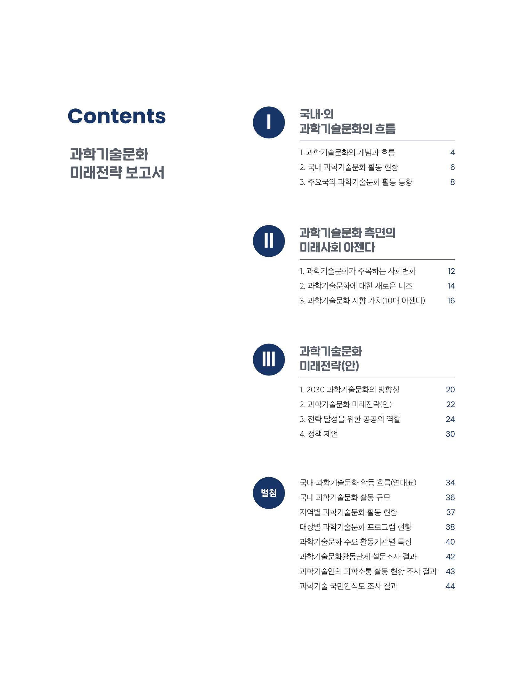 과학기술문화 미래전략 보고서 요약본 3페이지