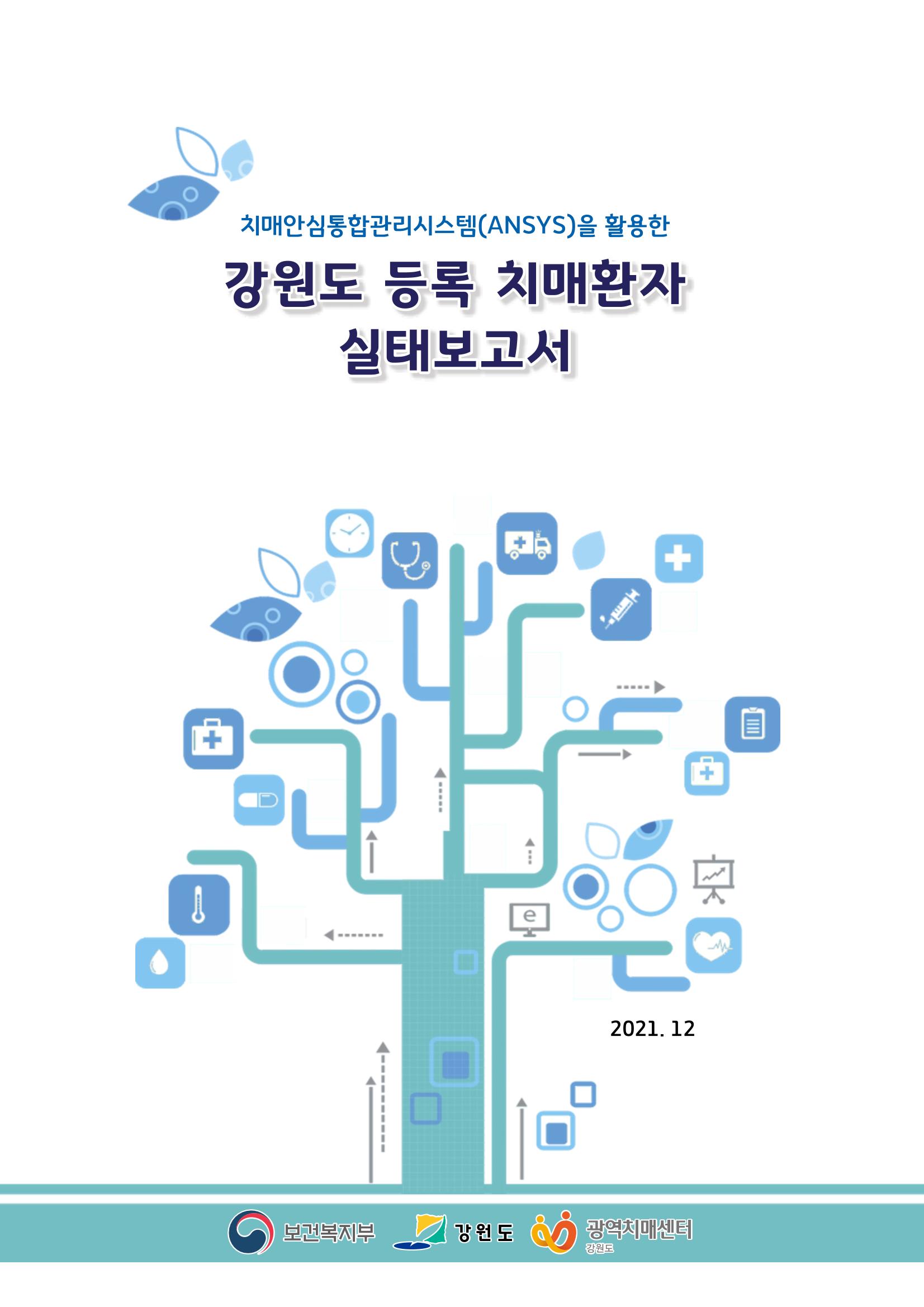 강원도 등록치매환자 실태조사 보고서 1페이지