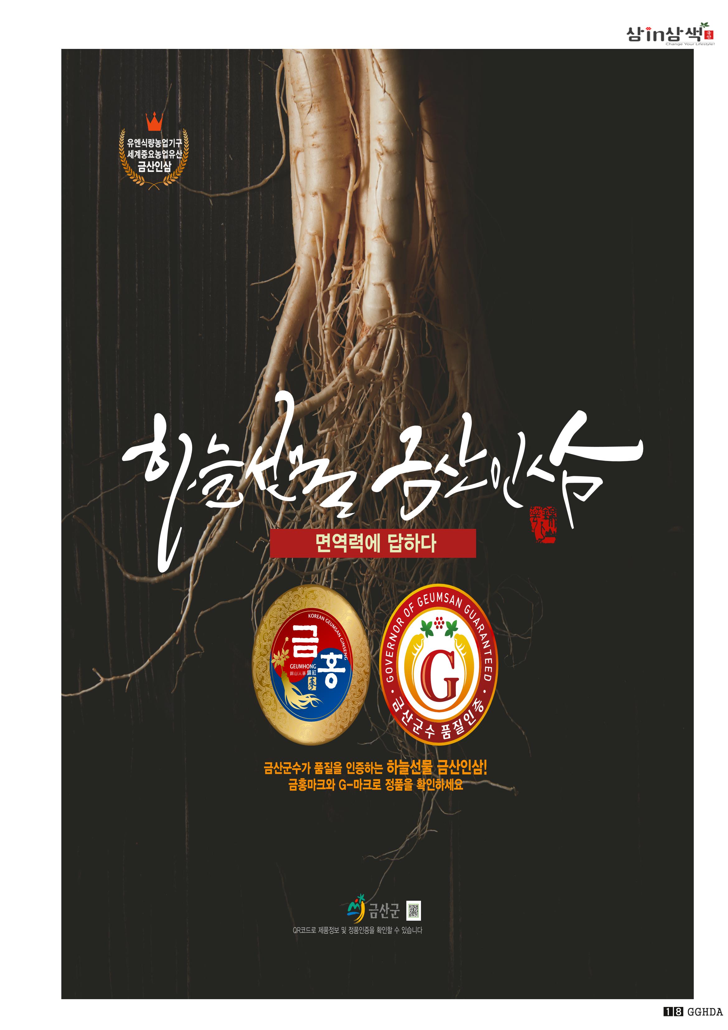 금산Insam지기 19페이지
