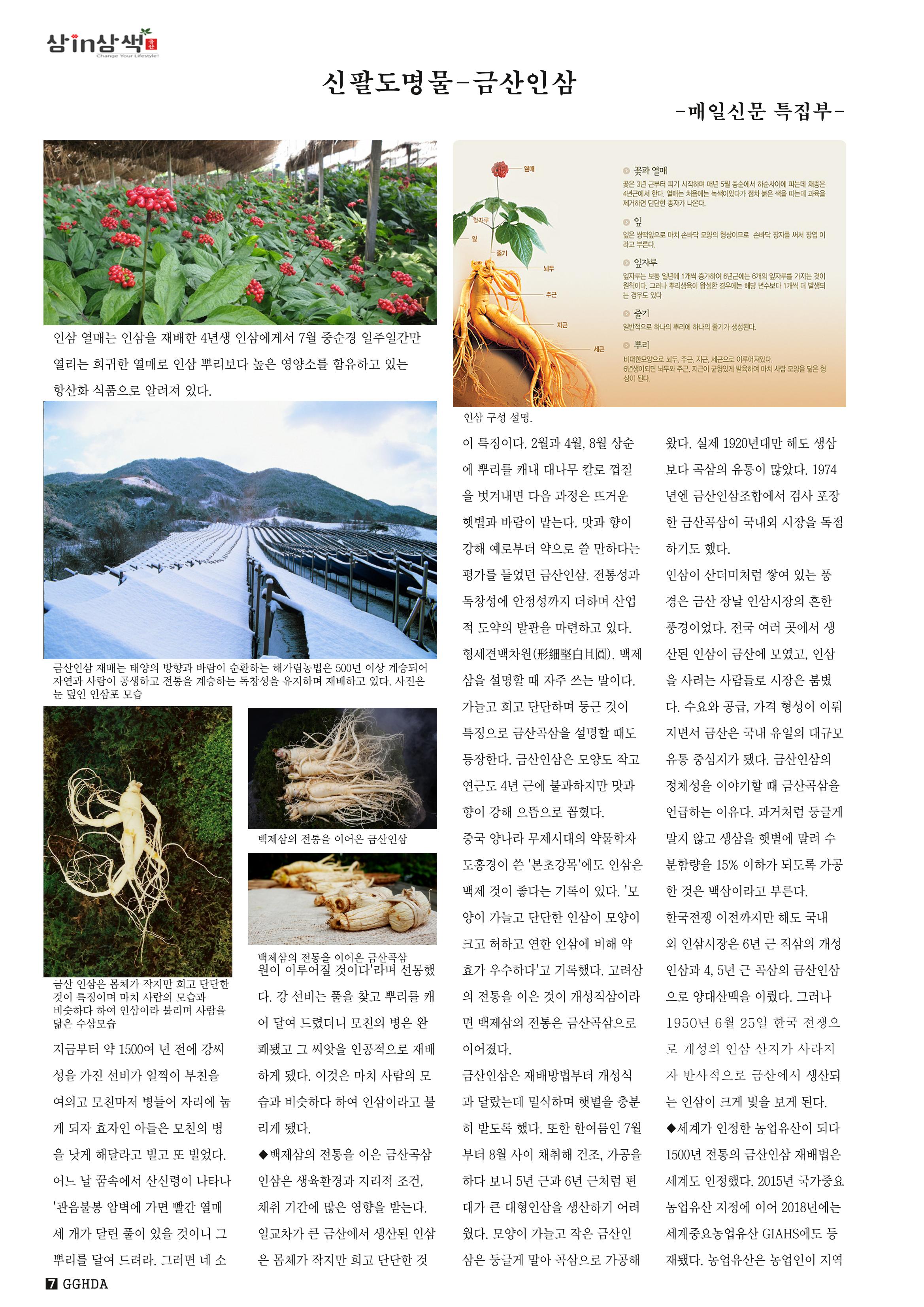 금산Insam지기 8페이지