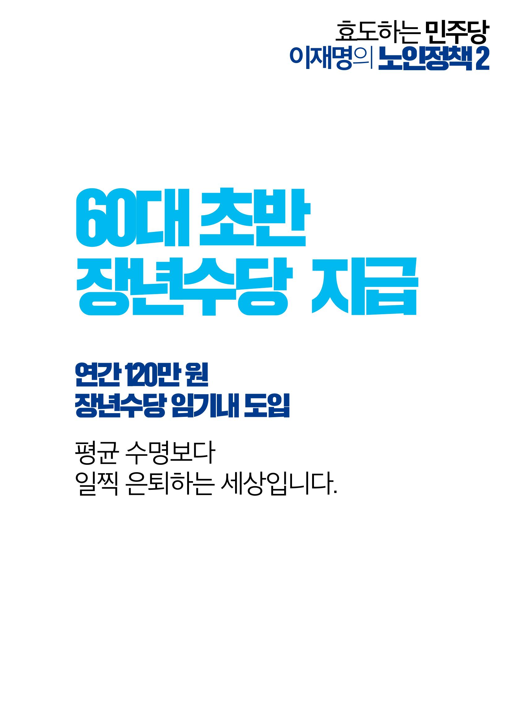 효도하는 이재명_어르신 공약 5페이지