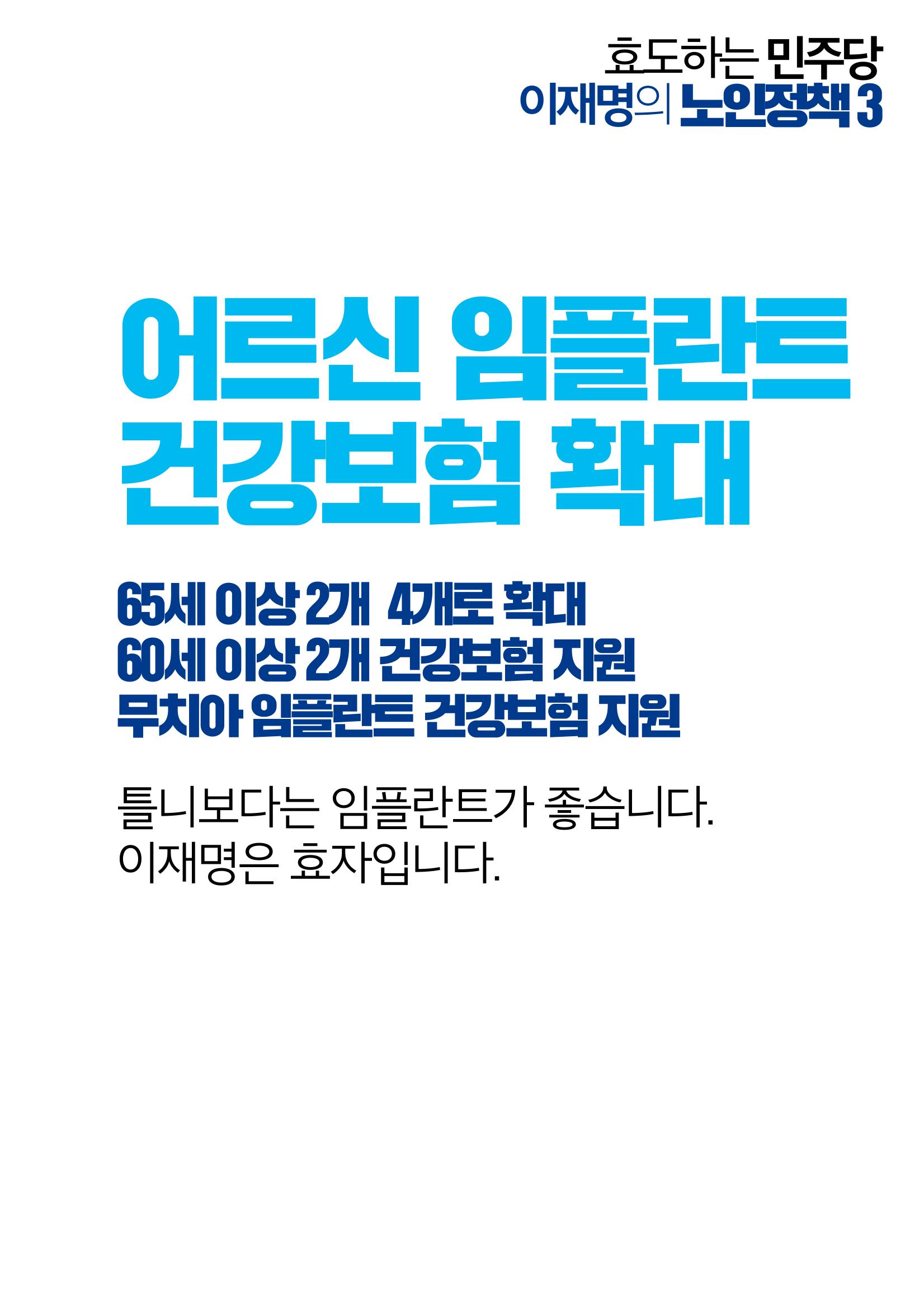 효도하는 이재명_어르신 공약 6페이지