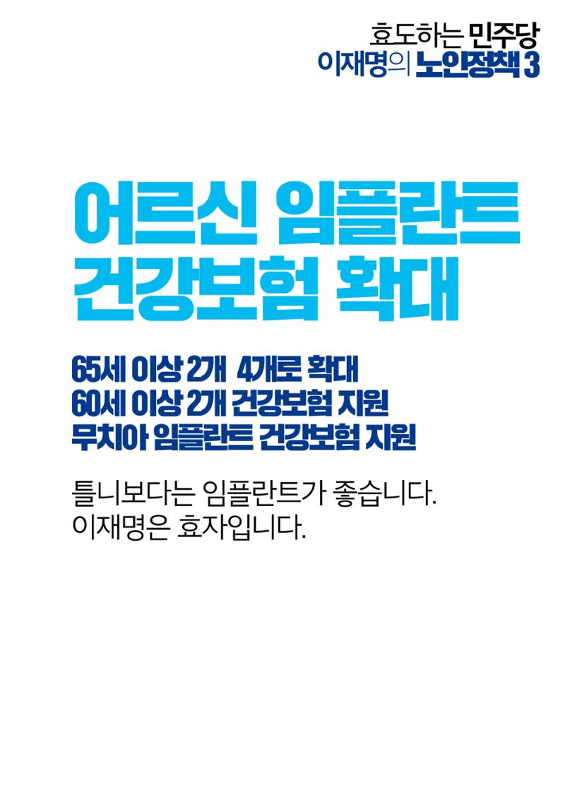 효도하는 이재명_어르신 공약 6페이지