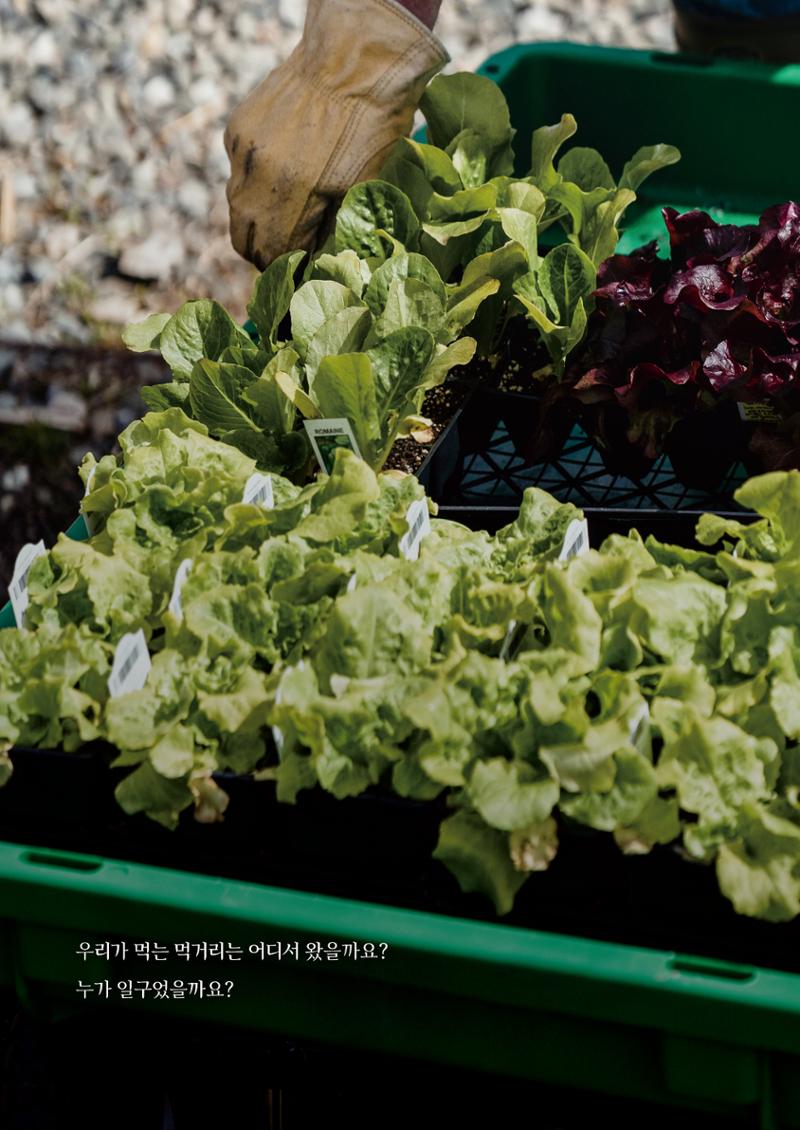 춘천지역먹거리 4페이지