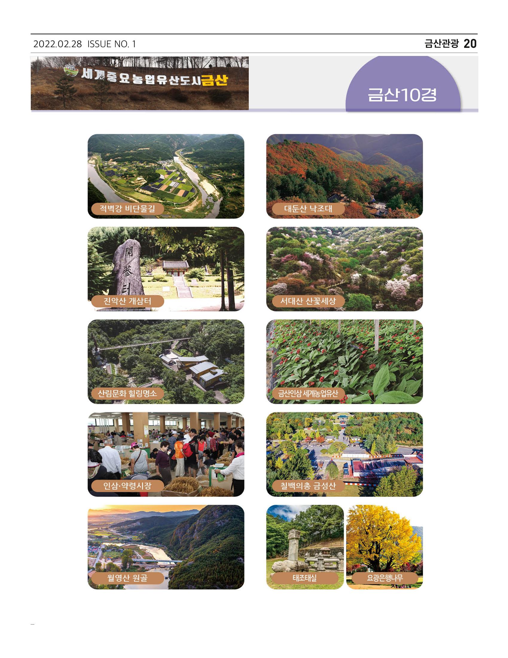 금산인삼소식지 "금산이 뿌리입니다" 20페이지