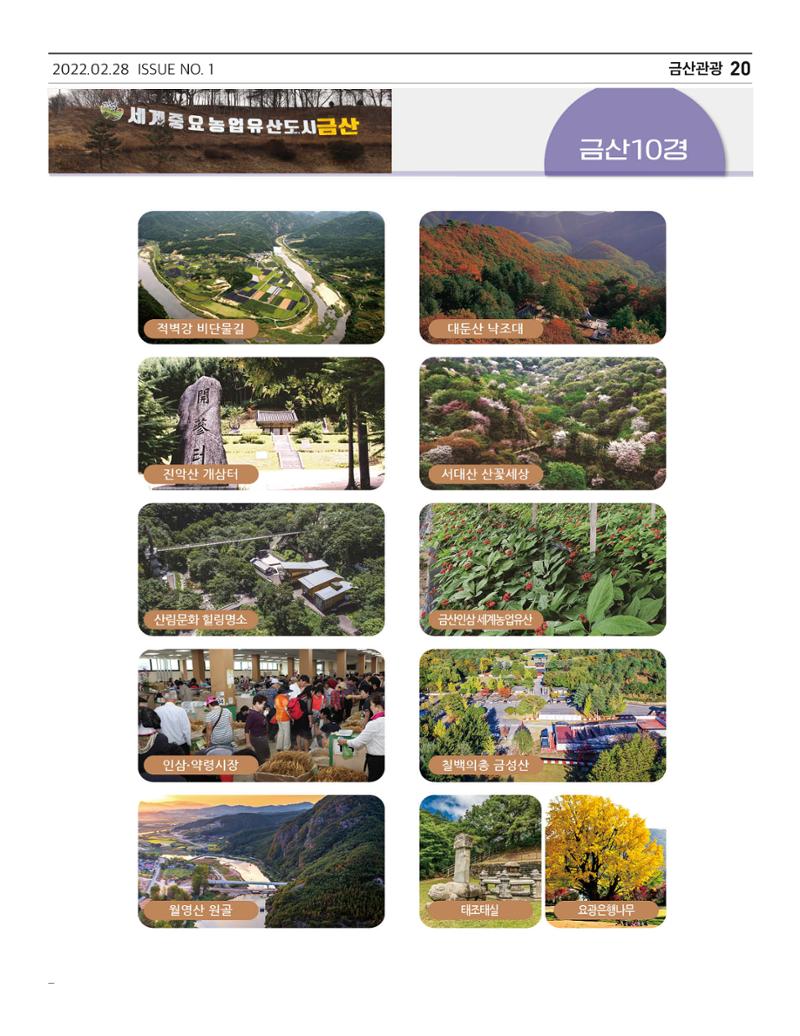 금산인삼소식지 "금산이 뿌리입니다" 20페이지