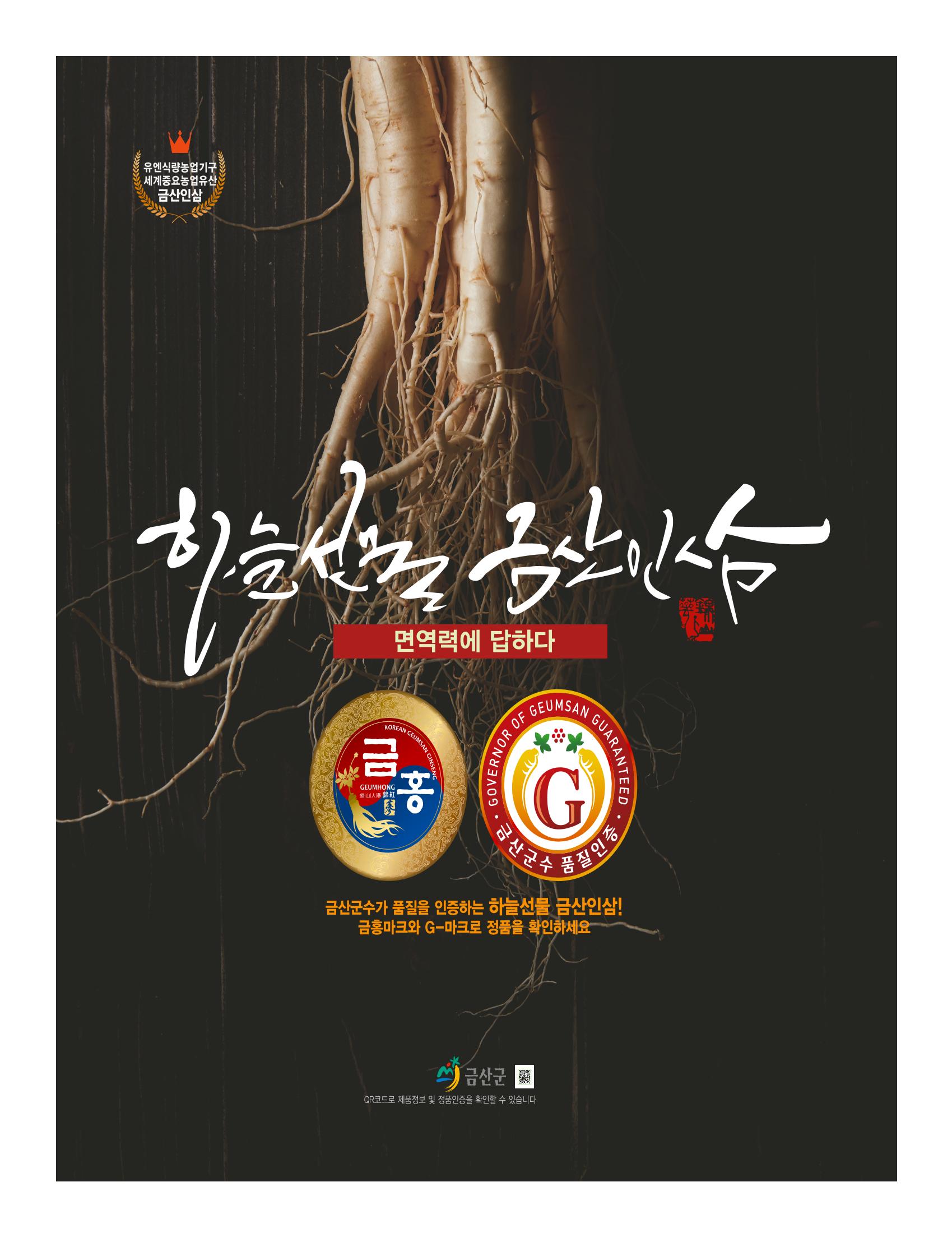 금산인삼소식지 "금산이 뿌리입니다" 21페이지