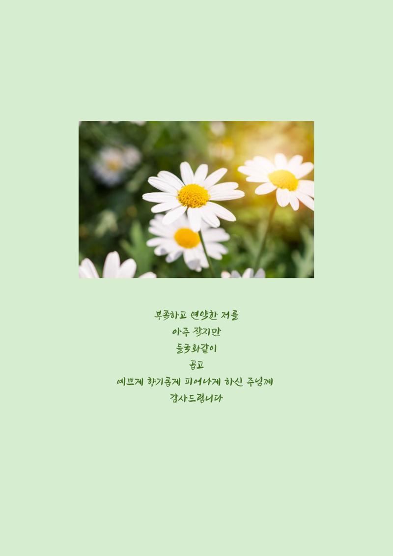 장옥희의 인생을 닮은 꽃, '들국화' 31페이지