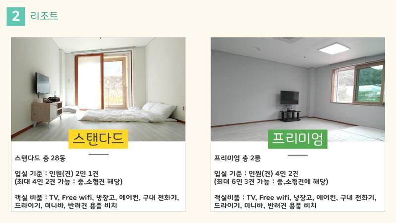 라이프위드도그 소개서 11페이지