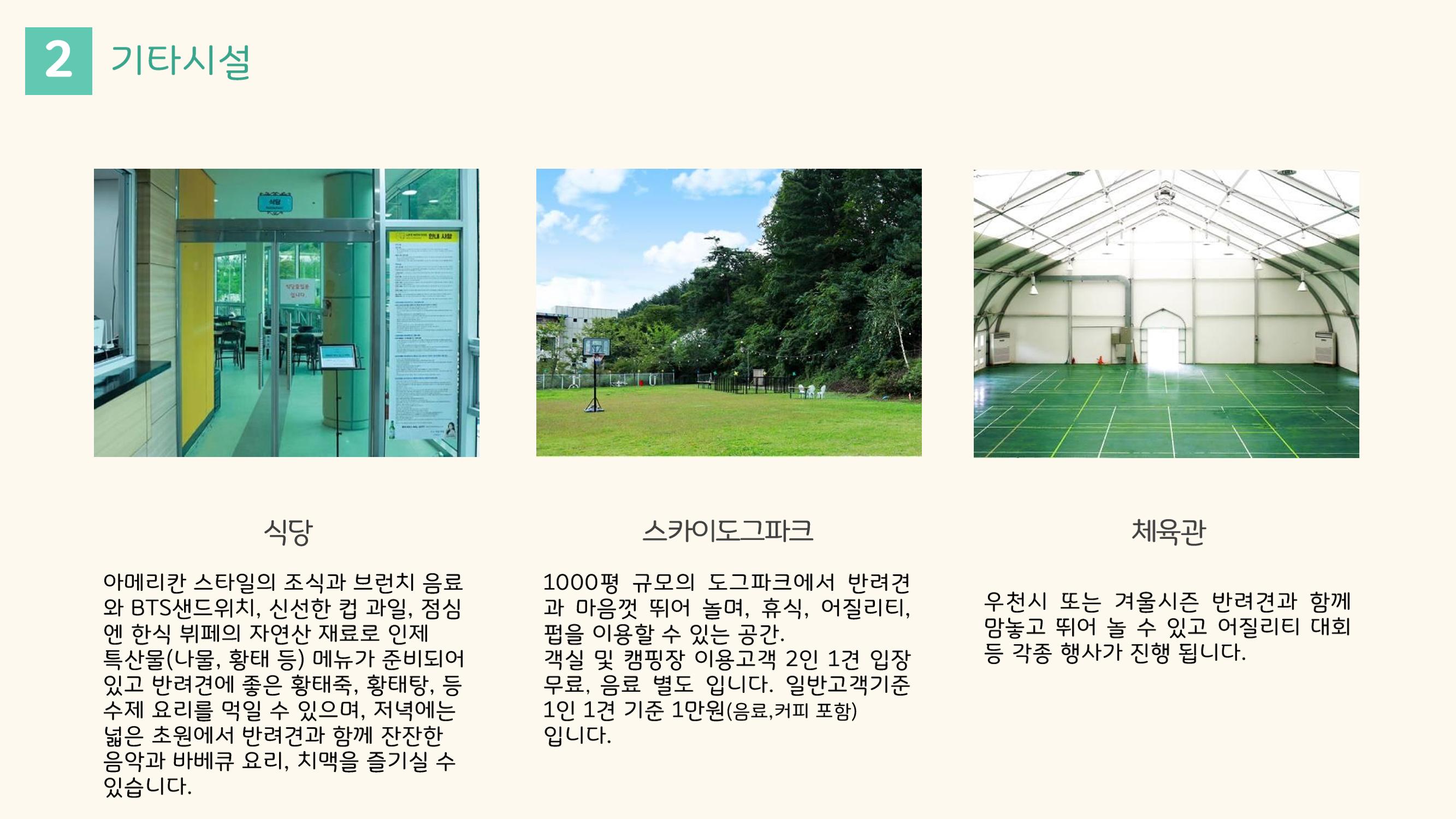 라이프위드도그 소개서 14페이지