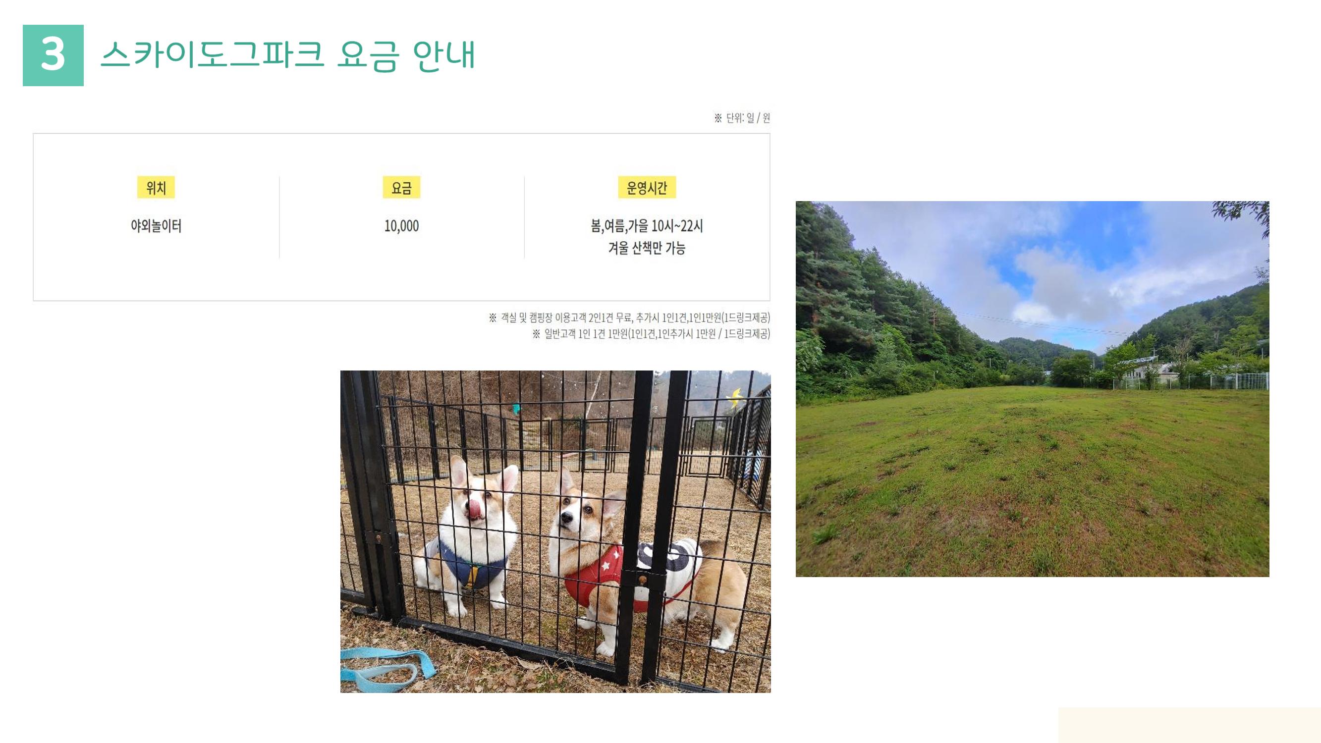라이프위드도그 소개서 20페이지