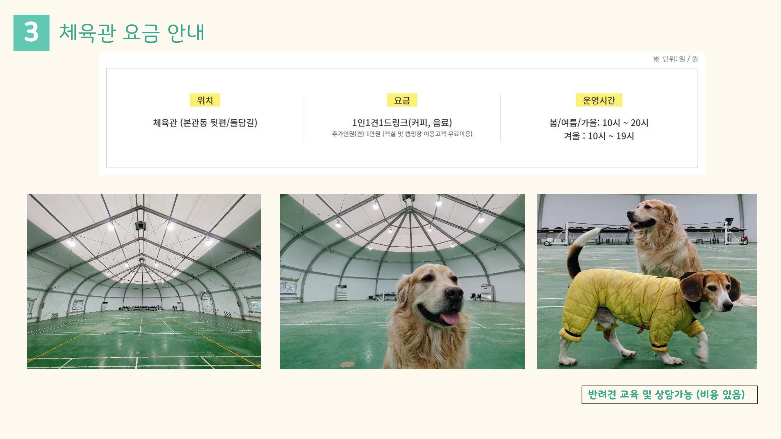 라이프위드도그 소개서 21페이지