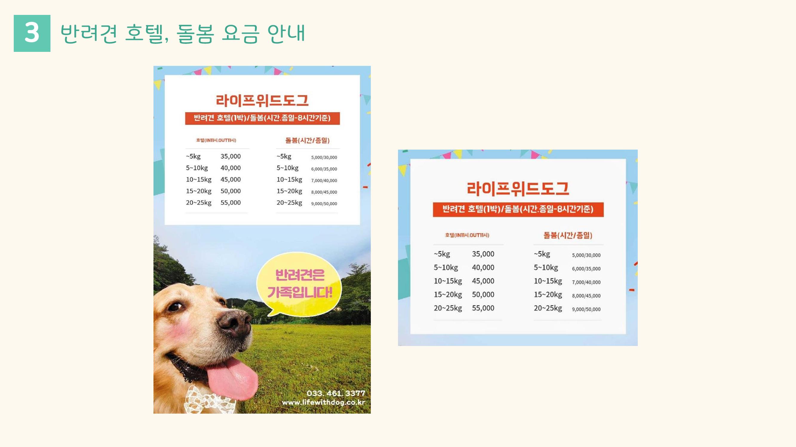 라이프위드도그 소개서 23페이지