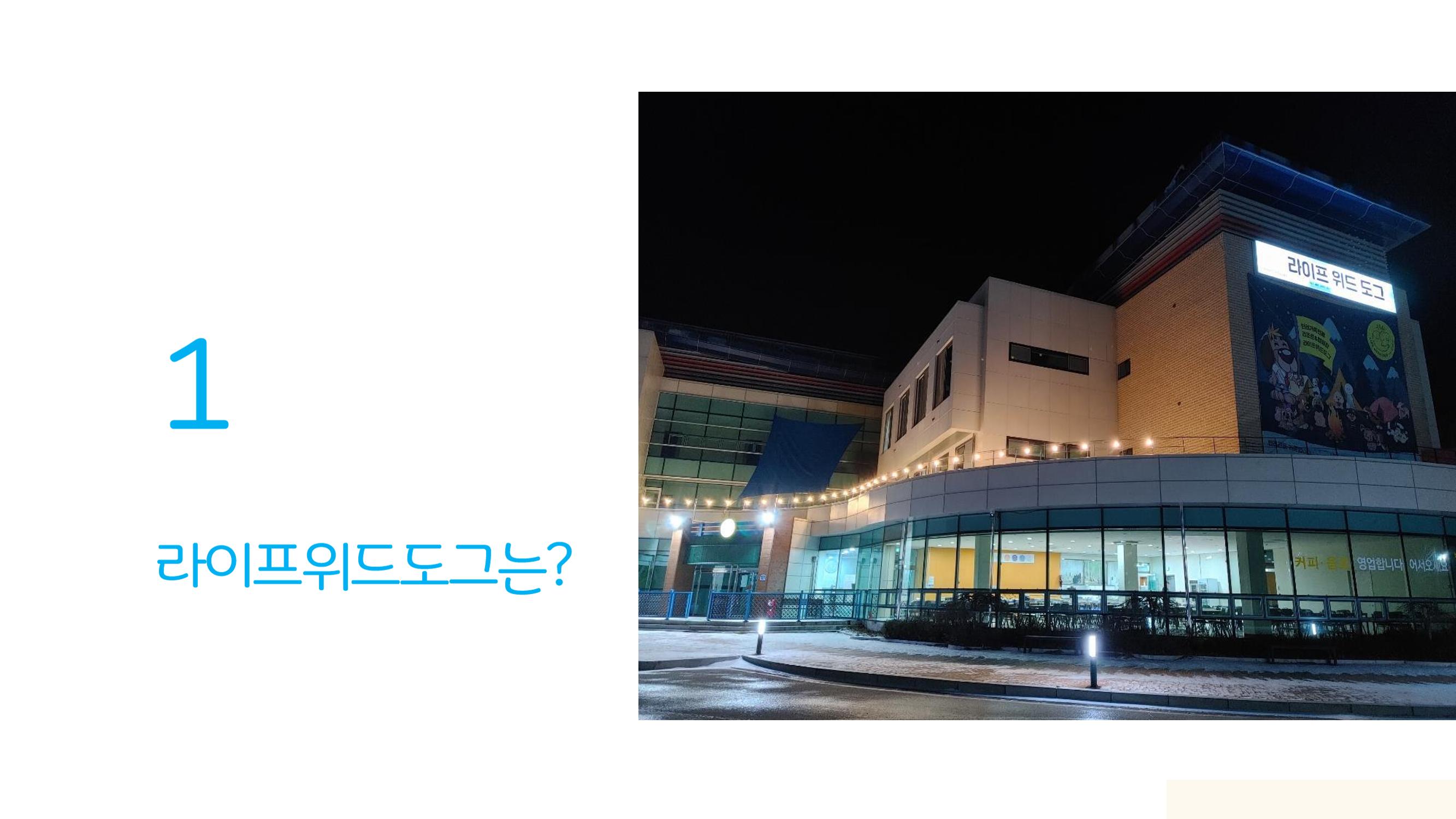 라이프위드도그 소개서 3페이지