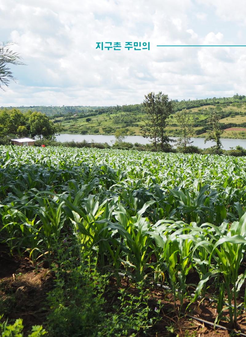 지구촌나눔운동 2021 연차보고서 46페이지