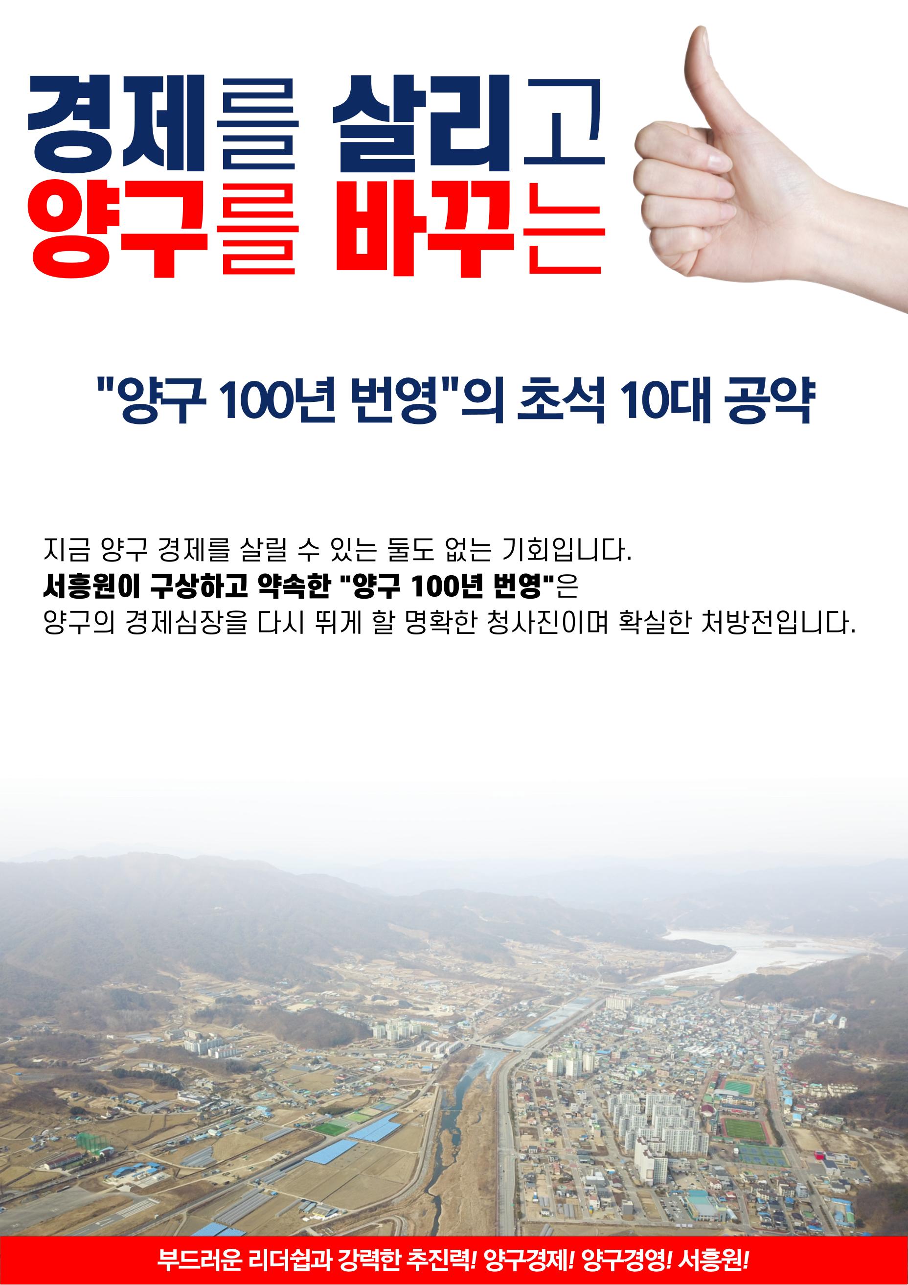 양구군수 예비후보 서흥원 10대 공약 3페이지