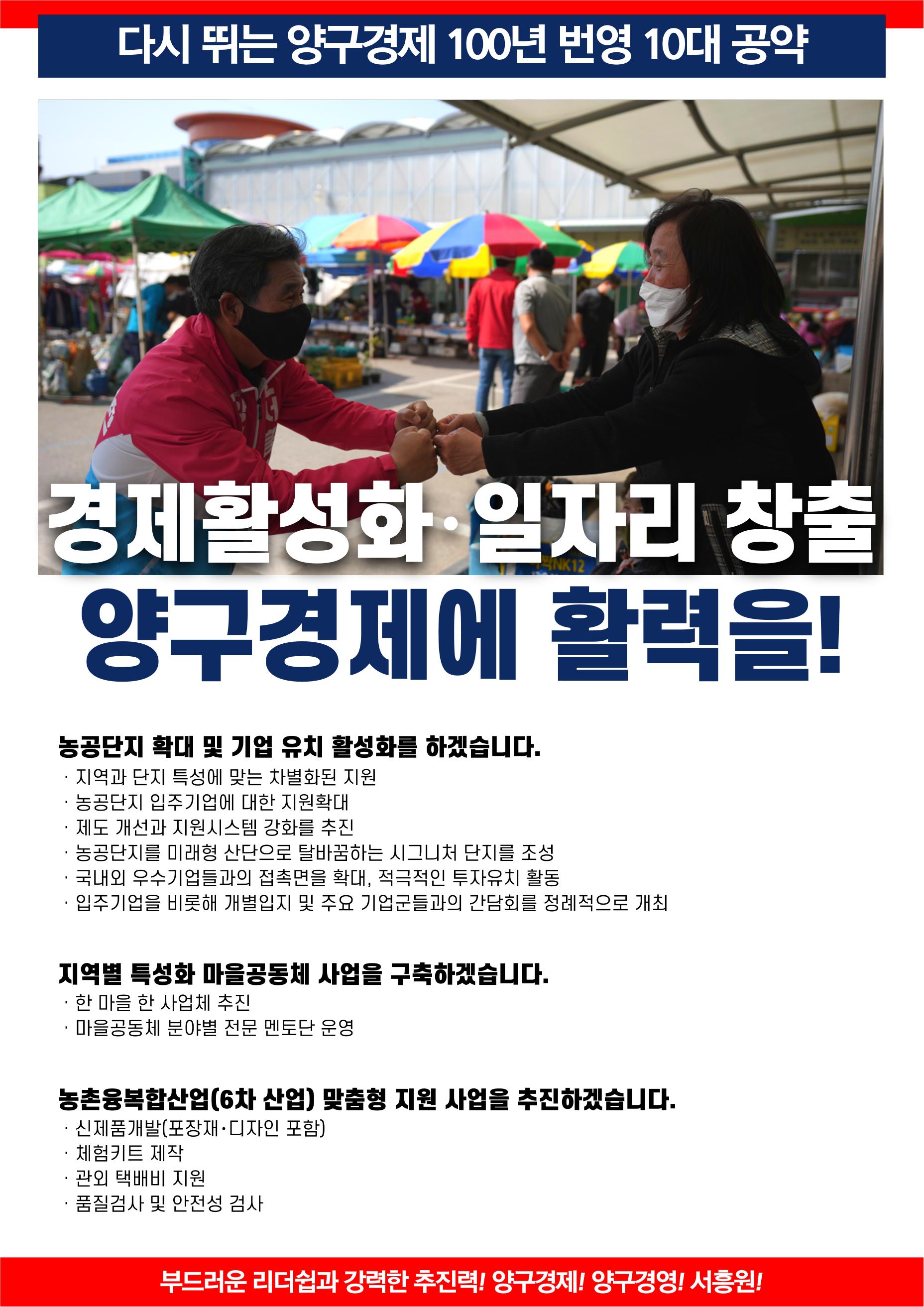 양구군수 예비후보 서흥원 10대 공약 4페이지