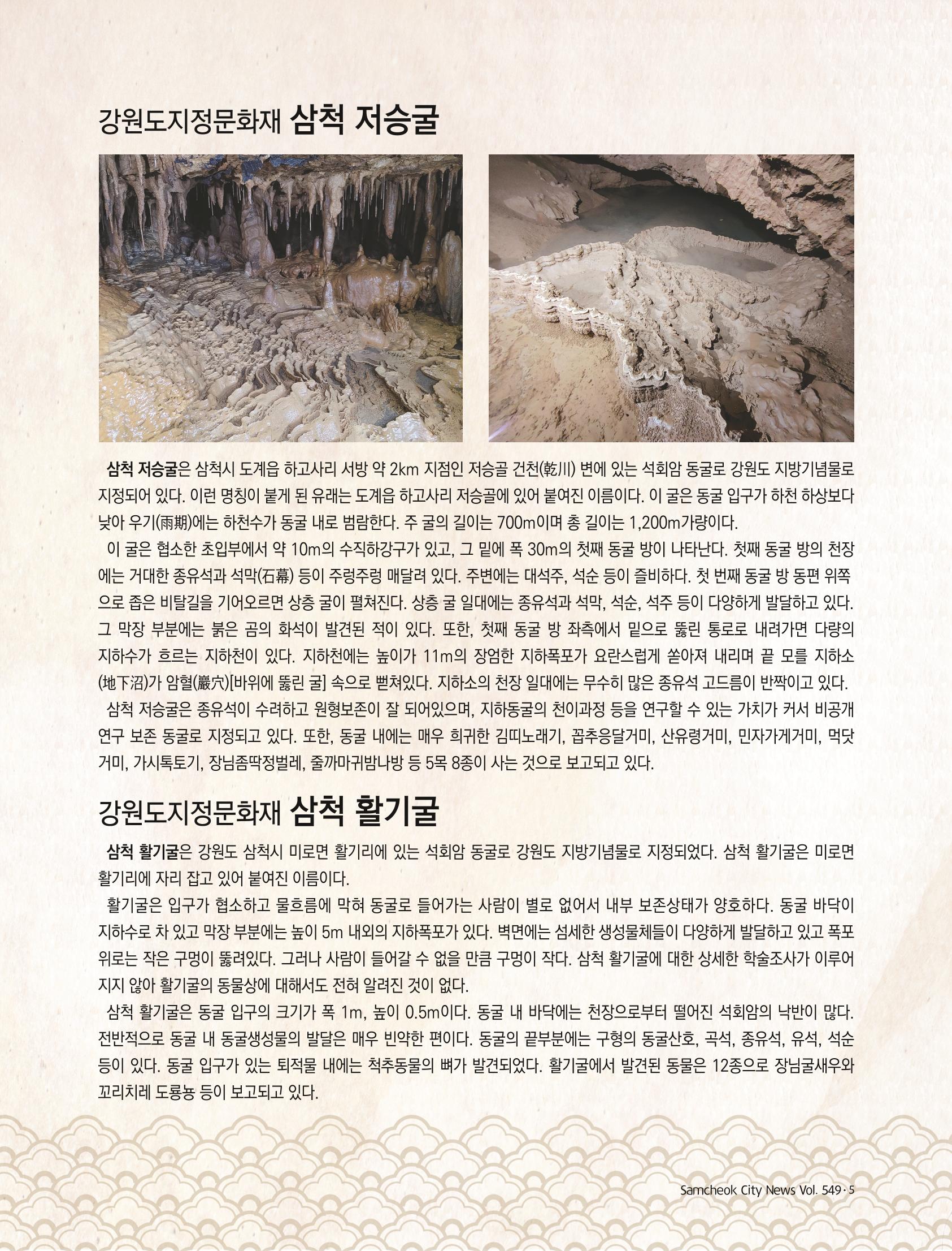 2022년 5월 삼척 시정소식지 5페이지