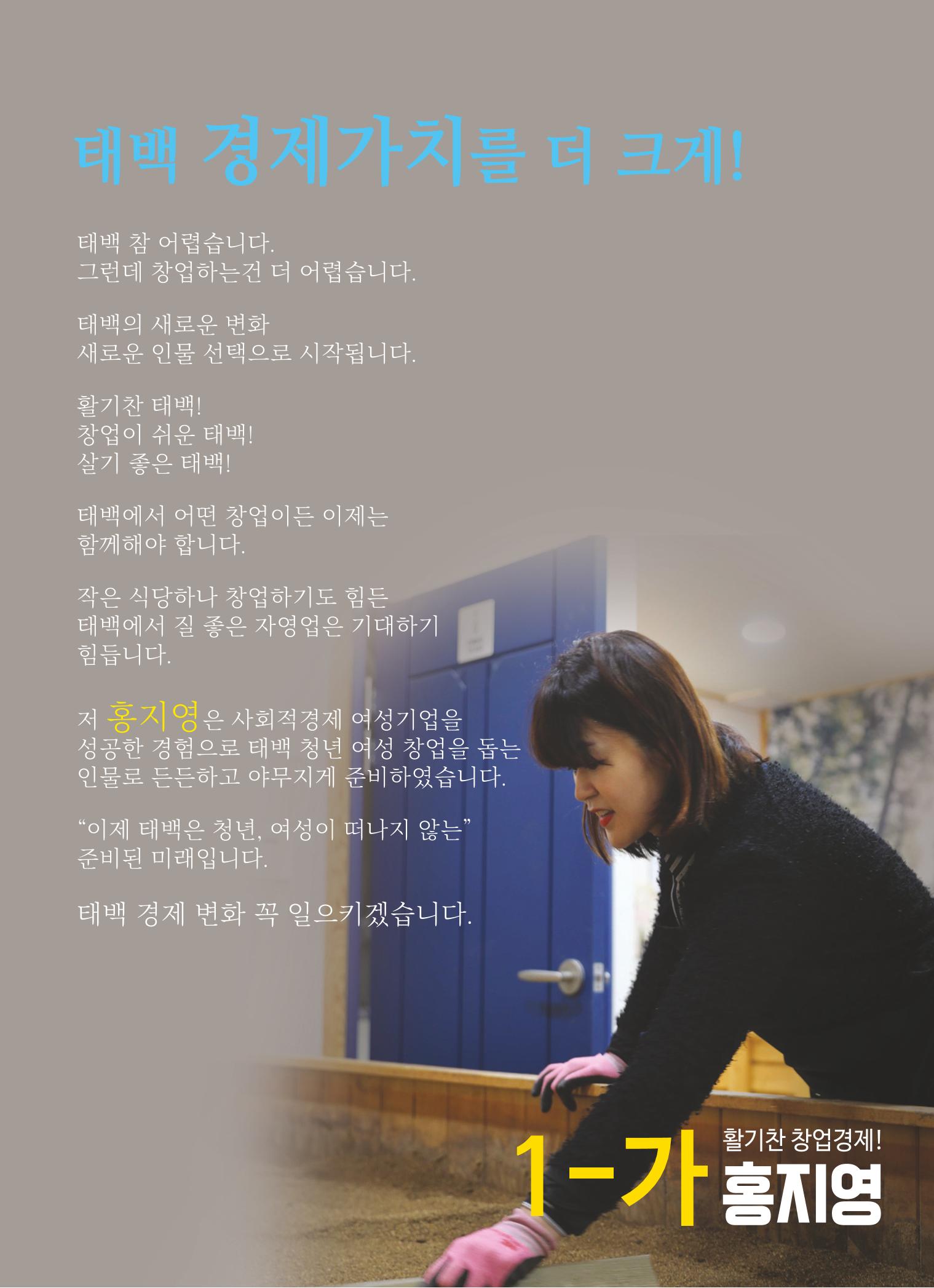 강원도 태백시 가 선거구 더불어민주당 1-가 홍지영  3페이지