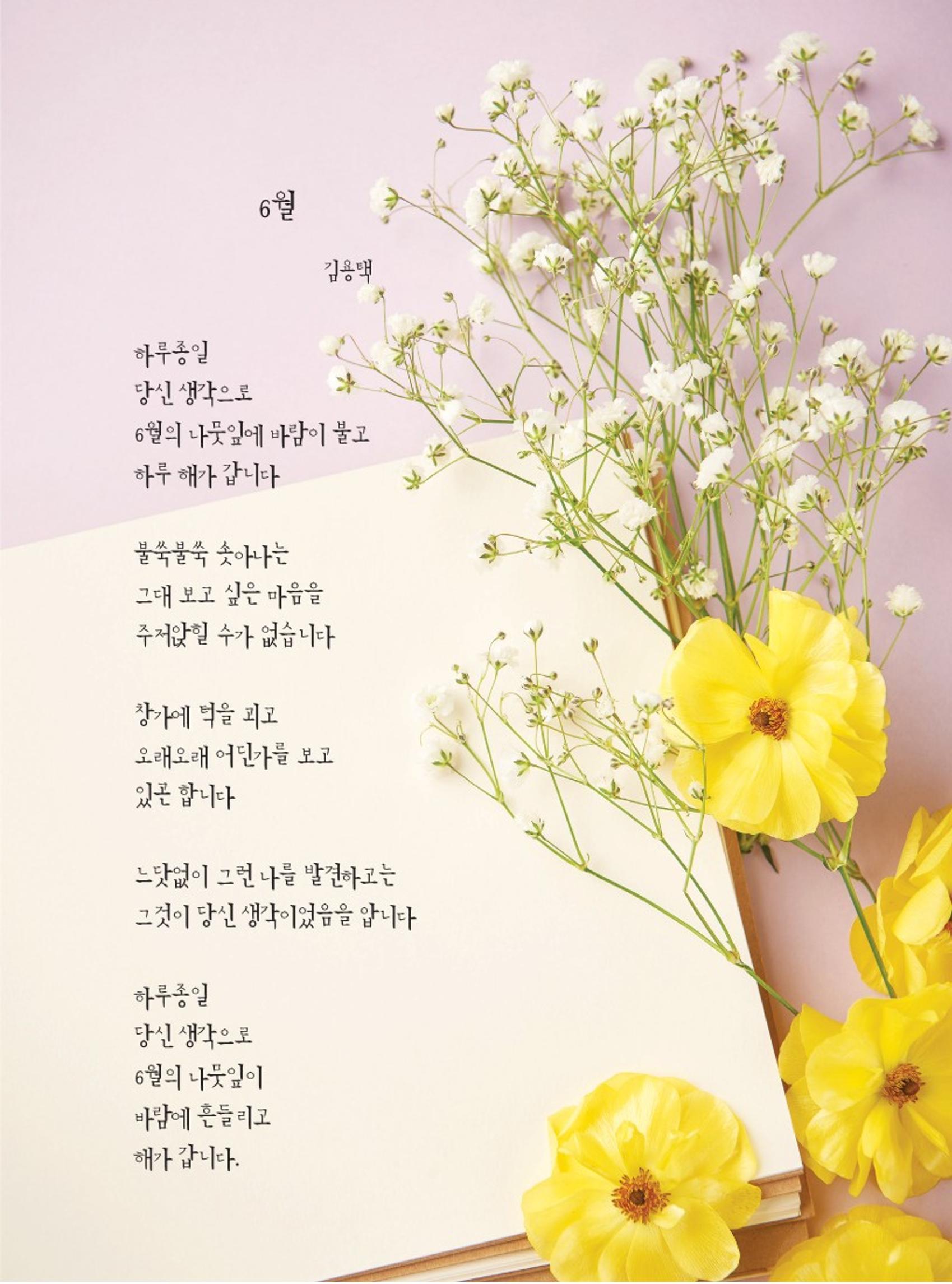 양양소식지 2022. 6월호 2페이지