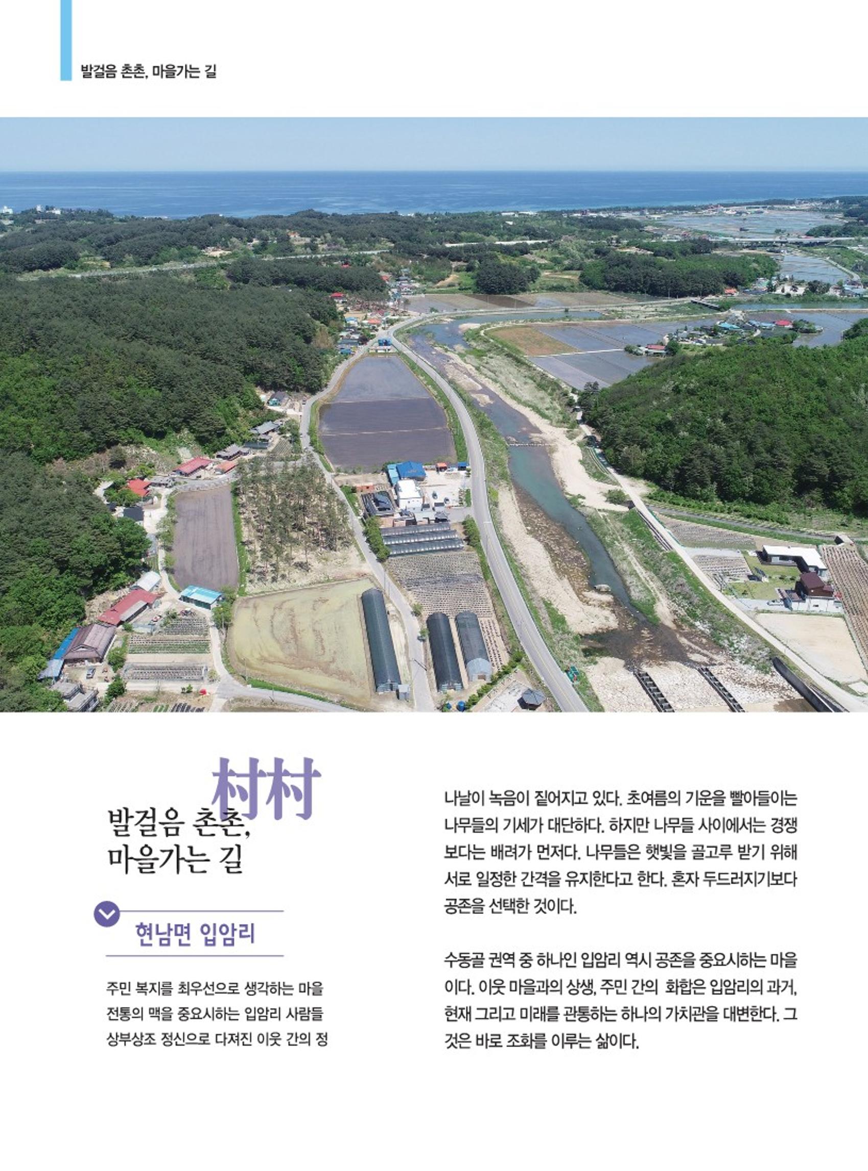 양양소식지 2022. 6월호 8페이지